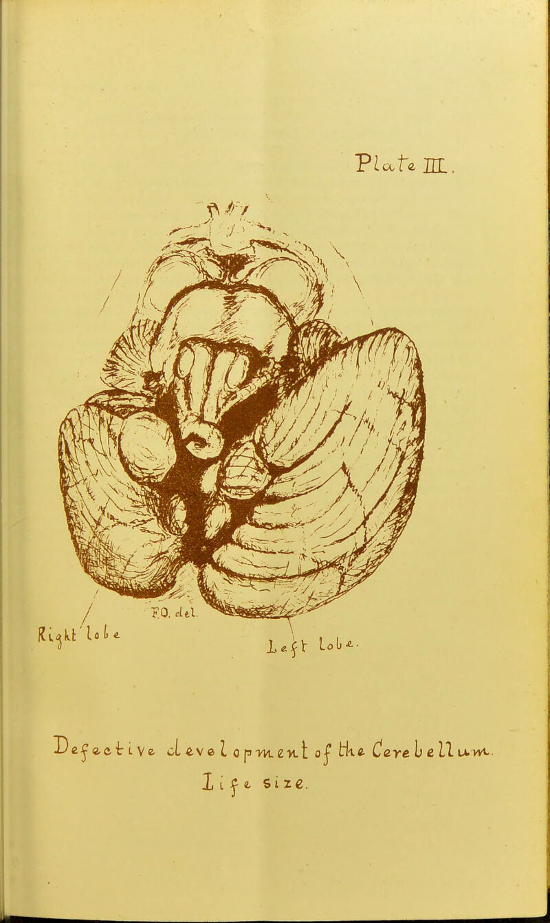 VUU JJL. IL J i size.