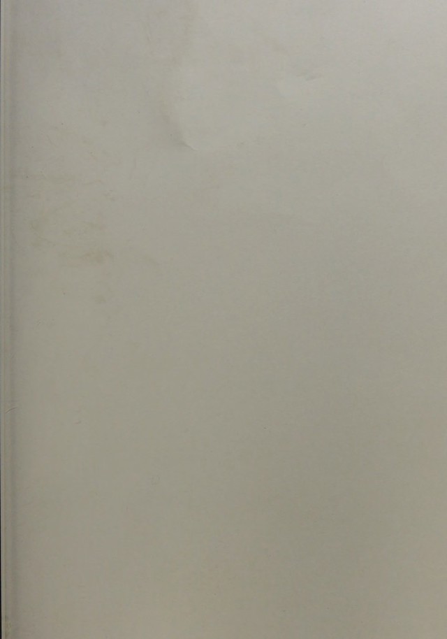 digitised image 1