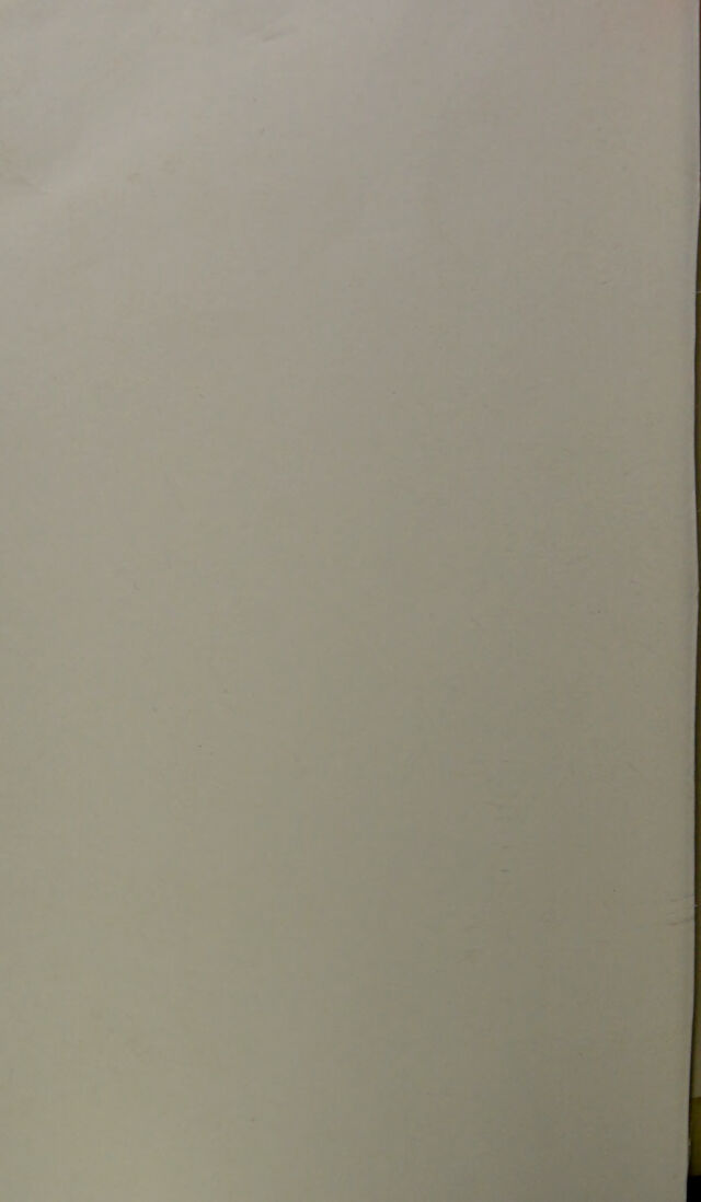 digitised image 2