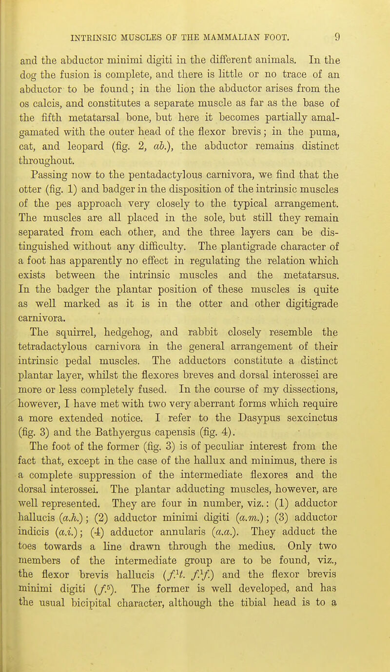 and the abductor minimi digiti in the different animals. In the dog the fusion is complete, and there is little or no trace of an abductor to be found; in the lion the abductor arises from the OS calcis, and constitutes a separate muscle as far as the base of the fifth metatarsal bone, but here it becomes partially amal- gamated with the outer head of the flexor brevis; in the puma, cat, and leopard (fig. 2, db.), the abductor remains distinct throughout. Passing now to the pentadactylous carnivora, we find that the otter (fig. 1) and badger in the disposition of the intrinsic muscles of the pes approach very closely to the typical arrangement. The muscles are all placed in the sole, but still they remain separated from each other, and the three layers can be dis- tinguished without any difficulty. The plantigrade character of a foot has apparently no effect in regulating the relation which exists between the intrinsic muscles and the metatarsus. In the badger the plantar position of these muscles is quite as well marked as it is in the otter and other digitigrade carnivora. The squirrel, hedgehog, and rabbit closely resemble the tetradactylous carnivora in the general arrangement of their intrinsic pedal muscles. The adductors constitute a distinct plantar layer, whilst the flexores breves and dorsal interossei are more or less completely fused. In the course of my dissections, however, I have met with two very aberrant forms which require a more extended notice. I refer to the Dasypus sexcinctus (fig. 3) and the Bathyergus capensis (fig. 4). The foot of the former (fig. 3) is of peculiar interest from the fact that, except in the case of the hallux and minimus, there is a complete suppression of the intermediate flexores and the dorsal interossei. The plantar adducting muscles, however, are well represented. They are four in number, viz.: (1) adductor hallucis {a.h); (2) adductor minimi digiti (a.m.); (3) adductor indicis {a.i.); (4) adductor annularis (a.a.). They adduct the toes towards a line drawn through the medius. Only two members of the intermediate group are to be found, viz., the flexor brevis hallucis {f.H. f}f.) and the flexor brevis minimi digiti {fP). The former is well developed, and has the usual bicipital character, although the tibial head is to a