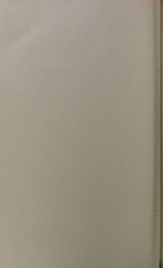 digitised image 2