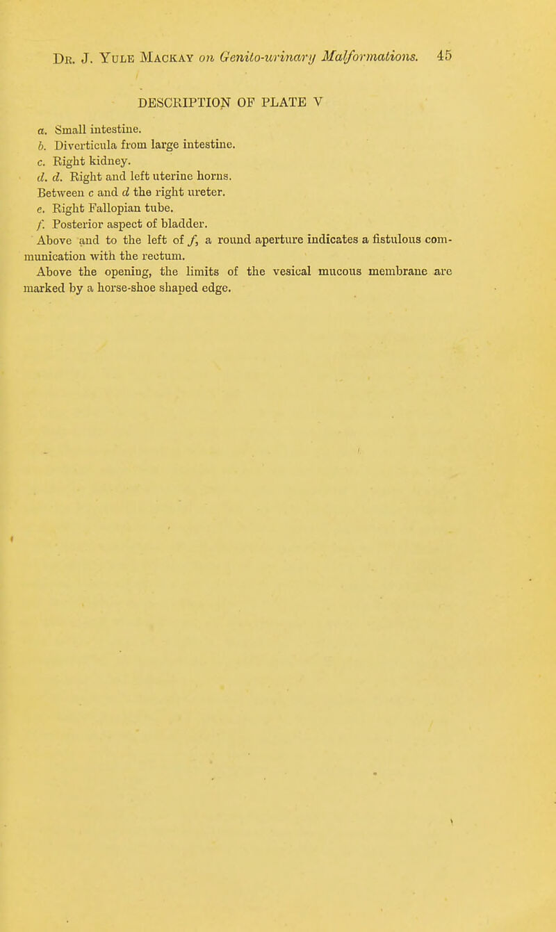 DESCRIPTION OF PLATE V a. Small intestine. b. Diverticula from large intestine. c. Right kidney. d. d. Right and left uterine horns. Between c and d the right ureter, c. Right Fallopian tube. /■. Posterior aspect of bladder. Above and to the left of /, a round aperture indicates a fistulous com- munication with the rectum. Above the opening, the limits of the vesical mucous membrane are marked by a horse-shoe shaped edge.