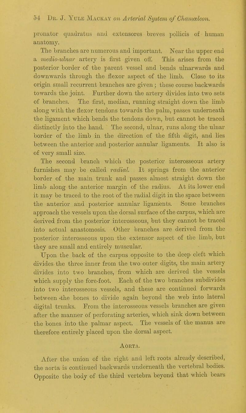 pronator quadratus and extensores breves pollicisi of human anatomy. The branches are numerous and important. Near the upper end a medio-ulnar artery is first given off. This arises from the posterior border of the parent vessel and bends ulnarwards and downwards through the flexor aspect of the limb. Close to its origin small recurrent branches are given ; these course backwards towards the joint. Further down the artery divides into two sets of branches. The first, median, running straight down the limb along with the flexor tendons towards the palm, passes underneath the ligament which bends the tendons down, but cannot be traced distinctly into the hand. The second, ulnar, runs along the ulnar border of the limb in the direction of the fifth digit, and lies between the anterior and posterior annular ligaments. It also is of very small size. The second branch which the posterior interosseous artery furnishes may be called radial. It springs from the anterior border of the main trunk and passes almost straight down the limb along the anterior margin of the radius. At its lower end it may be traced to the root of the radial digit in the space between the anterior and posterior annular ligaments. Some branches approach the vessels upon the dorsal siirface of the carpus, which are derived from the posterior interosseous, but they cannot be traced into actual anastomosis. Other branches are derived from the posterior interosseous upon the extensor aspect of the limb, but they are small and entirely muscular. Upon the back of the carpus opposite to the deep cleft which divides the three inner from the two outer digits, the main artery divides into two branches, from which are derived the vessels which supply the fore-foot. Each of the two branches subdivides into two interosseous vessels, and these are continued forwards between *the bones to divide again beyond the web into lateral digital trunks. From the interosseous vessels branches are given after the manner of perforating arteries, which sink down between the bones into the palmar aspect. The vessels of the manus are therefore entirely placed upon the dorsal aspect. Aorta. After the union of the right and left roots already described, the aorta is continued backwai-ds underneath the vertebral bodies. Opposite the body of the third vertebra beyond that which bears