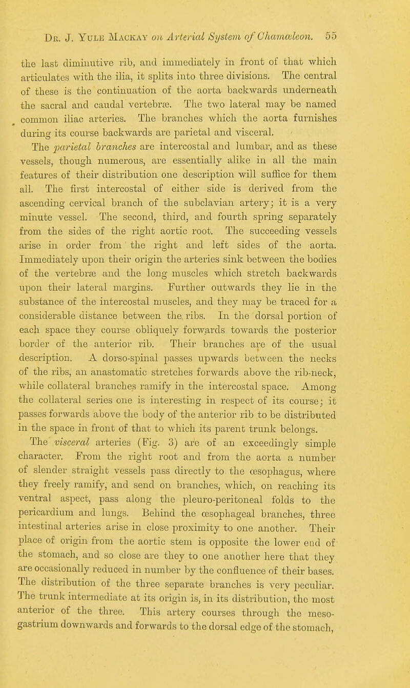 the last diminutive rib, and immediately in front of that which articulates with the ilia, it splits into three divisions. The central of these is the contixiuation of the aorta backwards underneath the sacral and caudal vertebraj. The two lateral may be named common iliac arteries. The branches Avhich the aorta furnishes during its com'se backwards are parietal and visceral. The jMrietal brafiches are intercostal and lumbar, and as these vessels, though numerous, are essentially alike in all the main features of their distribution one description will suffice for them all. The first intercostal of either side is derived from the ascending cervical branch of the subclavian artery; it is a very minute vessel. The second, third, and fourth spring separately from the sides of the right aortic root. The succeeding vessels arise in order from the right and left sides of the aorta. Immediately upon their origin the arteries sink between the bodies of the vertebrae and the long muscles which stretch backwards upon their lateral margins. Further outwards they lie in the substance of the intercostal muscles, and they may be traced for a considerable distance between the ribs. In the dorsal portion of each space they course obliquely forwards towards the joosterior border of the anterior rib. Their branches are of the usual description. A dorso-spinal passes upwards between the necks of the ribs, an anastomatic stretches forwards above the rib-neck, while collateral branches ramify in the intercostal space. Among the collateral series one is interesting in respect of its course; it passes forwards above the body of the anterior rib to be distributed in the space in front of that to which its parent trunk belongs. The viscercd arteries (Fig. 3) are of an exceedingly simple character. From the right root and from the aorta a number of slender straight vessels pass directly to the a3Sophagus, where they freely ramify, and send on branches, which, on reaching its ventral aspect, pass along the pleuro-peritoneal folds to the pericardium and lungs. Behind the oesophageal branches, three intestinal arteries arise in close proximity to one another. Their place of origin from the aortic stem is opposite the loAver end of the stomach, and so close are they to one another here that they are occasionally reduced in number by the confluence of their bases. The distribution of the three separate branches is very peculiar. The trunk intermediate afc its origin is, in its distribution, the most anterior of the three. This artery courses through the meso- gastrium downwards and forwards to the dorsal edge of the stomach,