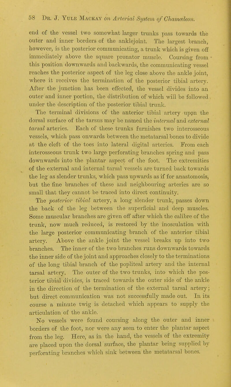 end of the vessel two somewhat larger trunks pass towards the outer and inner borders of the anklejoinfc. The largest branch, however, is the posterior communicating, a trunk which is given off immediately above the square pronator muscle, Coursing from this position downwards and backwards, the communicating vessel reaches the posterior aspect of the leg close above the ankle joint, where it receives the termination of the posterior tibial artery. After the junction has been effected, the vessel divides into an outer and inner portion, the distribution of which will be followed under the description of the posterior tibial trunk. The terminal divisions of the anterior tibial artery upon the dorsal surface of the tarsus may be named the internal and external tarsal arteries. Each of these trunks furnishes two interosseous vessels, which pass onwards between the metatarsal bones to divide at the cleft of the toes into lateral digital arteries. Px'om each interosseous trunk two large perforating branches spring and pass downwards into the plantar aspect of the foot. The extremities of the external and internal tarsal vessels are turned back towards the leg as slender trunks, which pass upwards as if for anastomosis, but the fine branches of these and neighbouring arteries are so small that they cannot be traced into direct continuity. The posterior tibial artery, a long slender trunk, passes down the back of the leg between the superficial and deep muscles. Some muscular branches are given off after which the calibre of the trunk, now much reduced, is restored by the inosculation with the large posterior communicating branch of the anterior tibial artery. Above the ankle joint the vessel breaks up into two branches. The inner of the tAvo branches runs downwards towards the inner side of the joint and approaches closely to the terminations of the long tibial branch of the popliteal artery and the internal tarsal artery. The outer of the two trunks, into which the pos- terior tibial divides, is traced towards the outer side of the ankle in the direction of the termination of the external tax'sal artery; but direct communication was not successfully made out. In its course a minute t-wig is detached which appears to supply the articulation of the ankle. No vessels were found coursing along tlie outer and inner borders of the foot, nor were any seen to enter the plantar aspect from the leg. Here, as in the hand, the vessels of the extremity are placed upon the dorsal surface, the plantar being supplied by perforating branches which sink between the metatarsal bones.