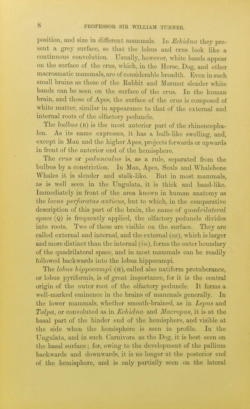 position, and size in different mammals. In Echidna they pre- sent a grey surface, so that the lobus and crus look like a continuous convolution. Usually, however, white bands appear on the surface of the crus, which, in the Horse, Dog, and other macrosmatic mammals, are of considerable breadth. Even in such small brains as those of the Rabbit and Marmot slender white bands can be seen on the surface of the crus. In the human brain, and those of Apes, the surface of the crus is composed of white matter, similar iu appearance to that of the external and internal roots of the olfactory peduncle. The hulbus (b) is the most anterior part of the rhinencepha- lon. As its name expresses, it has a bulb-like swelling, and, except in Man and the higher Apes, projects forwards or upwards in front of the anterior end of the hemisphere. The CTus or ^^^d'U'YiC'iil'UjS is, as a rule, separated from the bulbus by a constriction. In Man, Apes, Seals and Whalebone Whales it is slender and stalk-like. But in most mammals, as is well seen in the Ungulata, it is thick and band-like. Immediately in front of the area known in human anatomy as the locus perforatus anticus, but to which, in the comparative description of this part of the brain, the name of quadrilateral space (q) is frequently applied, the olfactory peduncle divides into roots. Two of these are visible on the surface. They are called external and internal, and the external {ex), which is larger and more distinct than the internal (in), forms the outer boimdary of the quadrilateral space, and in most mammals can be readily followed backwards into the lobus hippocampi. The lobus hippocampi (h), called also natiform protuberance, or lobus pyriformis, is of great importance, for it is the central origin of the outer root of the olfactory peduncle. It forms a well-marked eminence in the brains of mammals generally. In the lower mammals, whether smooth-brained, as in Lepus and Talpa, or convoluted as in Echidna and Macropus, it is at the basal part of the hinder end of the hemisphere, and visible at the side when the hemisphere is seen in profile. In the Ungulata, and in such Carnivora as the Dog, it is best seen on the basal surface; for, owing to the development of the pallium backwards and downwards, it is no longer at the posterior end of the hemisphere, and is only partially seen on the lateral