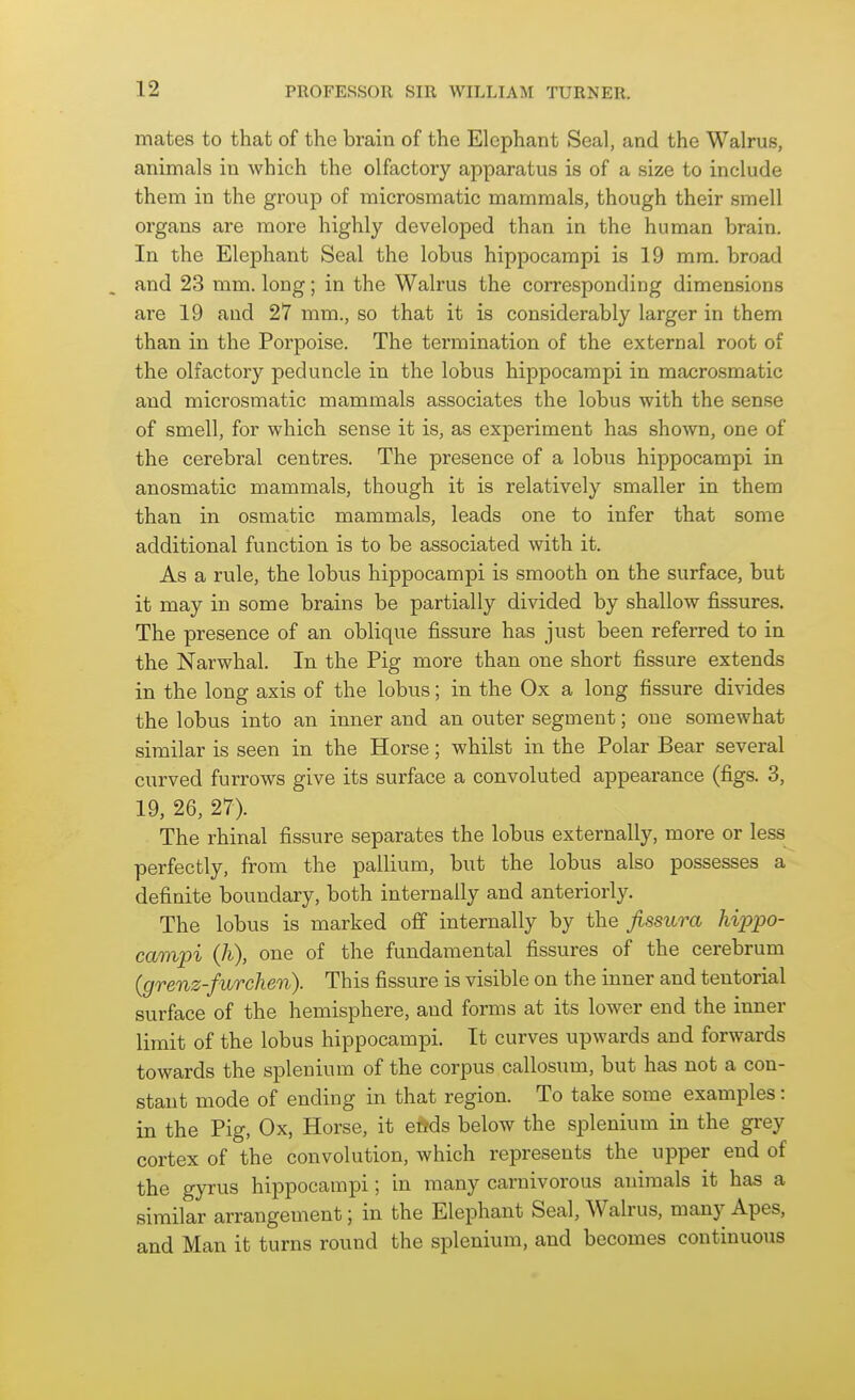 mates to that of the brain of the Elephant Seal, and the Walrus, animals in which the olfactory apparatus is of a size to include them in the group of microsmatic mammals, though their smell organs are more highly developed than in the human brain. In the Elephant Seal the lobus hippocampi is 19 mm. broad and 23 mm. long; in the Walrus the corresponding dimensions are 19 and 27 mm., so that it is considerably larger in them than in the Porpoise. The termination of the external root of the olfactory peduncle in the lobus hippocampi in macrosmatic and microsmatic mammals associates the lobus with the sense of smell, for which sense it is, as experiment has shown, one of the cerebral centres. The presence of a lobus hippocampi in anosmatic mammals, though it is relatively smaller in them than in osmatic mammals, leads one to infer that some additional function is to be associated with it. As a rule, the lobus hippocampi is smooth on the surface, but it may in some brains be partially divided by shallow fissures. The presence of an oblique fissure has just been referred to in the Narwhal. In the Pig more than one short fissure extends in the long axis of the lobus; in the Ox a long fissure divides the lobus into an inner and an outer segment; one somewhat similar is seen in the Horse; whilst in the Polar Bear several curved furrows give its surface a convoluted appearance (figs. 3, 19, 26, 27). The rhinal fissure separates the lobus externally, more or less perfectly, from the pallium, but the lobus also possesses a definite boundary, both internally and anteriorly. The lobus is marked off internally by the Jissura hippo- campi (h), one of the fundamental fissures of the cerebrum (grenz-furchen). This fissure is visible on the inner and tentorial surface of the hemisphere, and forms at its lower end the inner limit of the lobus hippocampi. It curves upwards and forwards towards the splenium of the corpus callosum, but has not a con- stant mode of ending in that region. To take some examples: in the Pig, Ox, Horse, it efids below the splenium in the grey cortex of the convolution, which represents the upper end of the gyrus hippocampi; in many carnivorous animals it has a similar arrangement; in the Elephant Seal, Walrus, many Apes, and Man it turns round the splenium, and becomes continuous