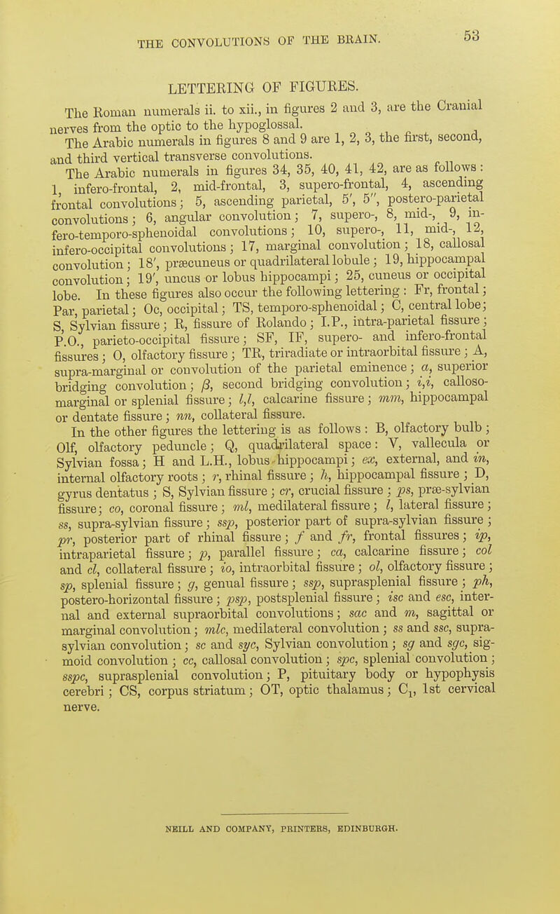 LETTERING OF FIGURES. The Roman numerals ii. to xii., in figures 2 and 3, are the Cranial nerves from the optic to the hypoglossal. „ , ^ , , The Arabic numerals in figures 8 and 9 are 1, 2, 3, the first, second, and third vertical transverse convolutions. The Arabic numerals in figures 34, 35, 40, 41, 42, are as follows: 1 infero-frontal, 2, mid-frontal, 3, supero-frontal, 4, ascendmg frontal convolutions; 5, ascending parietal, 5', 5, postero-panetal convolutions 3 6, angular convolution; 7, supero-, 8 mid-, 9, m- fero-temporo-sphenoidal convolutions; 10, supero-, 11, mid-, ii, infero-ocoipital convolutions; 17, marginal convolution; 18, callosal convolution; 18', prgecuneus or quadrilateral lobule ; 19, hippocampal convolution; 19', uncus or lobus hippocampi; 25, cuneus or occipital lobe. In these figures also occur the following lettering : Fr, frontal; Par, parietal; Oc, occipital; TS, temporo-sphenoidal; C, central lobe; S, Sylvian fissure; R, fissure of Rolando; I.P., intra-parietal fissure; P.O., parieto-occipital fissure; SF, IF, supero- and infero-frontal fissures; 0, olfactory fissure ; TR, triradiate or intraorbital fissm-e ; A, supra-marginal or convolution of the parietal eminence; a, superior bridging convolution; /3, second bridging convolution; calloso- marginal or splenial fissure; 1,1, calcarine fissure; 7nm, hippocampal or dentate fissure ; nn, collateral fissure. In the other figures the lettering is as follows : B, olfactory bulb ; Olf, olfactory peduncle; Q, quadrilateral space: V, vallecula ov Sylvian fossa; H and L.H., lobus ■ hippocampi; ex, external, and in, internal olfactory roots ; r, rhinal fissure ; h, hippocampal fissure ; D, gyrus dentatus ; S, Sylvian fissure ; cr, crucial fissure ; ps, prEC-sylvian fissure; co, coronal fissure; ml, medilateral fissure ; I, lateral fissure; ss, supra-sylvian fissure; ssp, posterior part of supra-sylvian fissure ; pr, posterior part of rhinal fissure; / and fr, frontal fissures; ip, intraparietal fissure; parallel fissure; ca, calcarine fissure; col and d, collateral fissure ; io, intraorbital fissure ; ol, olfactory fissure ; sp, splenial fissure; g, genual fissure; ssp, suprasplenial fissure ; ph, postero-horizontal fissure; psp, postsplenial fissure; isc and esc, inter- nal and external supraorbital convolutions; sac and m, sagittal or marginal convolution; mlc, medilateral convolution ; ss and ssc, supra- sylvian convolution; sc and syc, Sylvian convolution; sg and s^c, sig- moid convolution; cc, callosal convolution; spc, spleniar convolution; sspc, suprasplenial convolution; P, pituitary body or hypophysis cerebri; CS, corpus striatum; OT, optic thalamus; C^, 1st cervical nerve. NEILL AND COMPANY, PRINTERS, EDINBURGH.