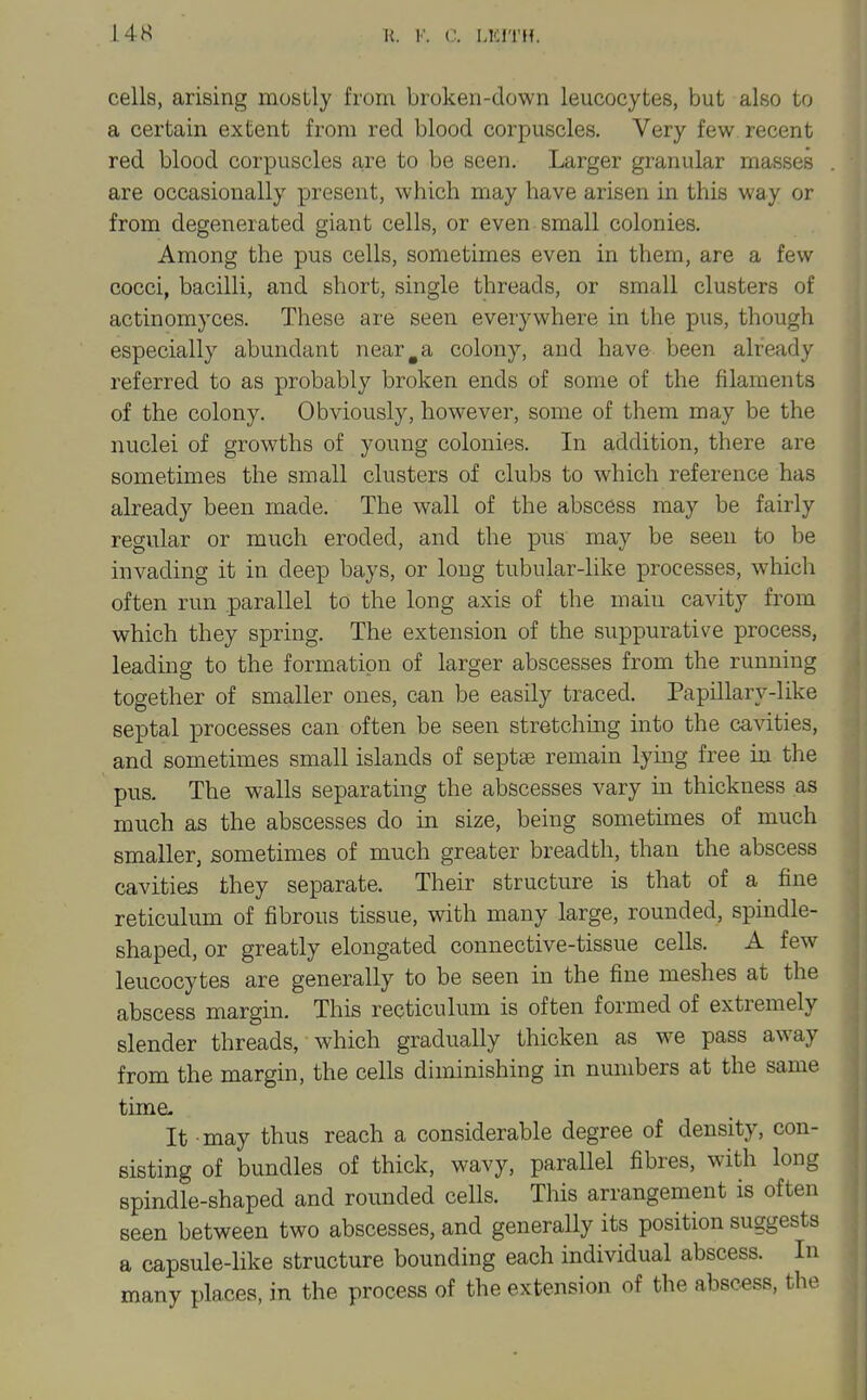 cells, arising mostly from broken-down leucocytes, but also to a certain extent from red blood corpuscles. Very few recent red blood corpuscles are to be seen. Larger granular masses are occasionally present, which may have arisen in this way or from degenerated giant cells, or even-small colonies. Among the pus cells, sometimes even in them, are a few cocci, bacilli, and short, single threads, or small clusters of actinomyces. These are seen everywhere in the pus, though especially abundant near ^ a colony, and have been already referred to as probably broken ends of some of the filaments of the colony. Obviously, however, some of them may be the nuclei of growths of young colonies. In addition, there are sometimes the small clusters of clubs to which reference has already been made. The wall of the abscess may be fairly regular or much eroded, and the pus may be seen to be invading it in deep bays, or long tubular-like processes, which often run parallel to the long axis of the main cavity from which they spring. The extension of the suppurative process, leading to the formation of larger abscesses from the running together of smaller ones, can be easily traced. Papillary-like septal processes can often be seen stretching into the cavities, and sometimes small islands of septae remain lying free in the pus. The walls separating the abscesses vary in thickness as much as the abscesses do in size, being sometimes of much smaller, sometimes of much greater breadth, than the abscess cavities they separate. Their structure is that of a fine reticulum of fibrous tissue, with many large, rounded, spindle- shaped, or greatly elongated connective-tissue cells. A few leucocytes are generally to be seen in the fine meshes at the abscess margin. This recticulum is often formed of extremely slender threads, which gradually thicken as we pass away from the margin, the cells diminishing in numbers at the same time- It may thus reach a considerable degree of density, con- sisting of bundles of thick, wavy, parallel fibres, with long spindle-shaped and rounded cells. This arrangement is often seen between two abscesses, and generally its position suggests a capsule-like structure bounding each individual abscess. In many places, in the process of the extension of the abscess, the
