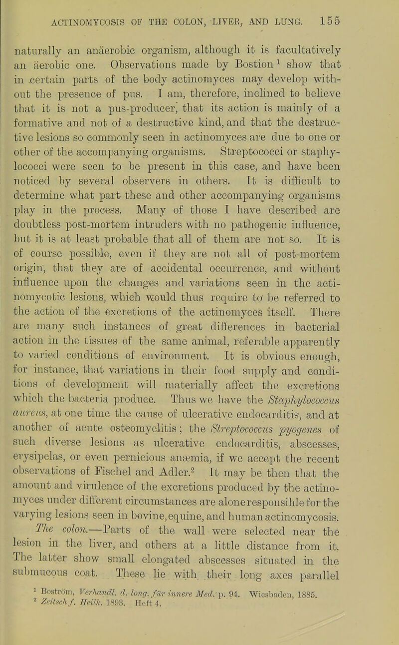 naturally an anaerobic organism, altlioiigh it is facultatively an aerobic one. Observations made by Bostion ^ show that in .certam parts of the body actinomyces may develop with- out the presence of pus. I am, therefore, inclined to believe that it is not a pus-producer, that its action is mainly of a formative and not of a destructive kind, and that the destruc- tive lesions so commonly seen in actinomyces are due to one or other of the accompanying organisms. Streptococci or staphy- lococci were seen to be present in this case, and have been noticed by several observers in others. It is difficult to determine what part these and other accompanying organisms play in the process. Many of those I have described are doubtless post-mortem intruders with no pathogenic influence, but it is at least probable that all of them are not so. It is of course possible, even if they are not all of post-mortem origin, that they are of accidental occurrence, and without influence upon the changes and variations seen in the acti- nomycotic lesions, which would thus require to be referred to the action of the excretions of the actinomyces itself. There are many sucli instances of great differences in bacterial action in the tissues of the same animal, referable apparently to varied conditions of environment. It is obvious enough, for instance, that variations in their food supply and condi- tions of development will materially affect the excretions which the bacteria produce. Thus we have the Staphylococcus aureus, at one time the cause of ulcerative endocarditis, and at another of acute osteomyelitis; the Streptococcus pyogenes of such diverse lesions as ulcerative endocarditis, abscesses, erysipelas, or even pernicious ansemia, if we accept the recent observations of Fischel and Adler.^ It may be then that the amount and virulence of the excretions produced by the actino- myces under difl'erent circumstances are alone responsible for the varying lesions seen in bovine,equine, and human actinomycosis. The colon.—Parts of the wall were selected near the lesion in the Hver, and others at a httle distance from it. The latter show small elongated abscesses situated in the submucous coat. These lie with, their long axes parallel 1 Bostrom, Verhxindl. d. long, f w inn ere Med. i\ 94. Wiesbaden, 1885. ^ Zeilsr.hf. Ueilk. 189.3. Heft, 4.