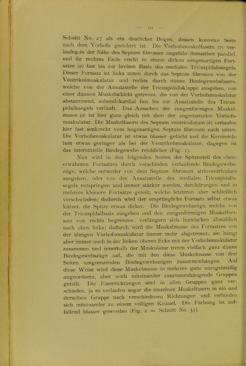 lO Schnitt No., 27 als ein deutlicher Bogen, dessen konvexe Seite nach dem Vorhofe gerichtet ist. Die Vorhofsmuskelfasern (v) ver- lauf e^. in der Nähe des Septum fibrosum ungefähr demselben parallel, und ihr rechtes Ende reicht in einem dicken zungenairtigen Fort- satze {a) fast bis zur breiten Basis des medialen Tricuspidalissegels. Dieser Fortsatz ist links unten durch das Septum iibrosum von der Ventrikelmuskulatur und rechts durch dünne Bindegewebsfasern, welche von der Ansatzstelle der Tricuspidalisklappe ausgehen, von einer dünnen Muskelschicht getrennt, die von der Vorhofsmuskulatur abstammend, subendokardial fast bis zur Ansatzstelle des Tricus- pidalissegels verläuft. Das Aussehen der zungenförmigen Muskel- masse {a) ist hier ganz gleich mit dem der angrenzenden Vorhofs- muskulatur. Die Muskelfasern des Septum ventriculorum {k) verlaufen hier fast senkrecht vom bogenartigen Septum fibrosum nach unten. Die Vorhofsmuskulatur ist etwas blasser gefärbt und ihr Kernreich- tum etwas geringer als bei der Ventrikelmuskulatur, dagegen ist das interstitielle Bindegewebe reichlicher (Fig. i). Nun wird in den folgenden Serien der Spitzenteil des oben- erwähnten Fortsatzes durch verschieden verlaufende Bindegewebs- züge, welche entweder von dem Septum fibrosum atrioventriculare ausgehen, oder von der Ansatzstelle des medialen Tricuspidalis- segels entspringen und immer stärker werden, durchdrungen und in mehrere kleinere Fortsätze geteilt, welche letzteren aber schließlich verschwinden; dadurch wird der ursprüngliche Fortsatz selbst etwas kürzer, die Spitze etwas dicker. Die Bindegewebszüge, welche von der Tricuspidalbasis ausgehen und den zungenförmigen Muskelfort- satz von rechts begrenzen, verlängern sich inzwischen allmählich nach oben links; dadurch wird die Muskelmasse des Fortsatzes von der übrigen Vorhofsmuskulatur immer mehr abgetrennt; sie hängt aber immer noch in der Hnken oberen Ecke mit der Vorhofsmuskulatur zusammen und innerhalb der Muskulatur treten vielfach ganz dünne Bindegewebszüge auf, die mit den diese Muskelmasse von drei Seiten umgrenzenden Bindegewebszügen zusammenhängen. Auf diese Weise wird diese Muskelmasse in mehrere ganz unregelmäßig angeordnete, aber noch miteinander zusammenhängende Gruppen geteilt. Die Faserrichtungen sind in allen Gruppen ganz ver- schieden, ja es verlaufen sogar die einzelnen Muskelfasern in ein und derselben Gruppe nach verschiedenen Richtungen und verbinden sich miteinander zu einem völligen Knäuel. Die Färbung ist auf- fallend blasser geworden (Fig. 2 = Schnitt No. 33)-