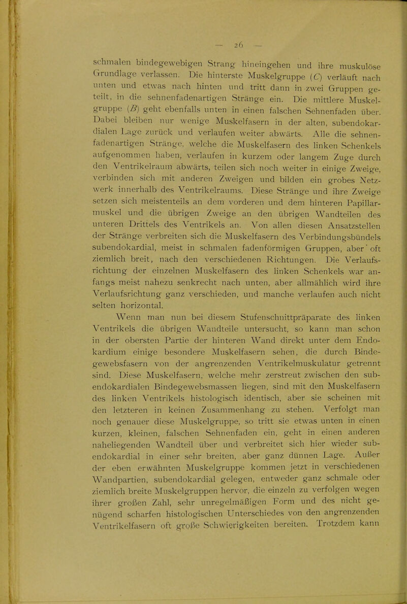 schmalen bindegewebigen Strang hineingehen und ihre musl<ulöse Grundlage verlassen. Die hinterste Muskelgruppe (C) verläuft nach unten und etwas nach hinten und tritt dann in zwei Gruppen ge- teilt, in die sehnenfadenartigen Stränge ein. Die mittlere Muskel- gruppe {B) geht ebenfalls unten in einen falschen Sehnenfaden über. Dabei bleiben nur wenige Muskelfasern in der alten, subendokar- dialen Lage zurück und verlaufen weiter abwärts. Alle die sehnen- fadenartigen Stränge, welche die Muskelfasern des Hnken Schenkels aufgenommen haben, verlaufen in kurzem oder langem Zuge durch den Ventrikelraum abwärts, teilen sich noch weiter in einige Zweige, verbinden sich mit anderen Zweigen und bilden ein grobes Netz- werk innerhalb des Ventrikelraums. Diese Stränge und ihre Zweige setzen sich meistenteils an dem vorderen und dem hinteren Papillar- muskel und die übrigen Zweige an den übrigen Wandteilen des unteren Drittels des Ventrikels an. Von allen diesen Ansatzstellen der Stränge verbreiten sich die Muskelfasern des Verbindungsbündels subendokardial, meist in schmalen fadenförmigen Gruppen, aber oft ziemlich breit, nach den verschiedenen Richtungen. Die Verlaufs- richtung der einzelnen Muskelfasern des hnken Schenkels war an- fangs meist nahezu senkrecht nach unten, aber allmählich wird ihre Verlaufsrichtung ganz verschieden, und manche verlaufen auch nicht selten horizontal. Wenn man nun bei diesem Stufenschnittpräparate des linken Ventrikels die übrigen Wandteile untersucht, so kann man schon in der obersten Partie der hinteren Wand direkt unter dem Endo- kardium einige besondere Muskelfasern sehen, die durch Binde- gewebsfasern von der angrenzenden Ventrikelmuskulatur getrennt sind. Diese Muskelfasern, welche mehr zerstreut zwischen den sub- endokardialen Bindegewebsmassen Hegen, sind mit den Muskelfasern des Unken Ventrikels histologisch identisch, aber sie scheinen mit den letzteren in keinen Zusammenhang zu stehen. Verfolgt man noch genauer diese Muskelgruppe, so tritt sie etwas unten in einen kurzen, kleinen, falschen Sehnenfaden ein, geht in einen anderen nahehegenden Wandteil über und verbreitet sich hier wieder sub- endokardial in einer sehr breiten, aber ganz dünnen Lage. Außer der eben erwähnten Muskelgruppe kommen jetzt in verschiedenen Wandpartien, subendokardial gelegen, entweder ganz schmale oder ziemlich breite Muskelgruppen hervor, die einzeln zu verfolgen wegen ihrer großen Zahl, sehr unregelmäßigen Form und des nicht ge- nügend scharfen histologischen Unterschiedes von den angrenzenden Ventrikelfasern oft große Schwierigkeiten bereiten. Trotzdem kann
