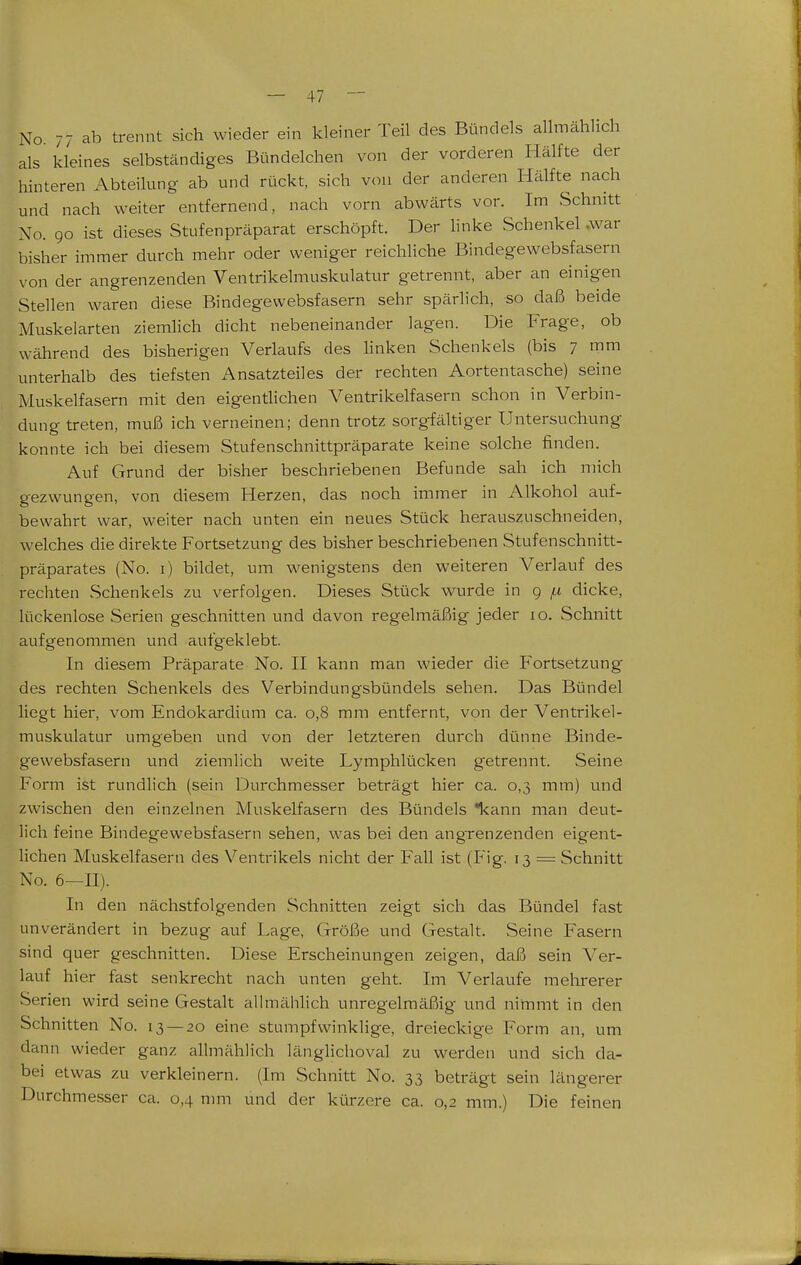 No 77 ab trennt sich wieder ein kleiner Teil des Bündels allmählich als kleines selbständiges Bündelchen von der vorderen Hälfte der hinteren Abteilung ab und rückt, sich von der anderen Hälfte nach und nach weiter entfernend, nach vorn abwärts vor. Im Schnitt No. 90 ist dieses Stufenpräparat erschöpft. Der linke Schenkel ,war bisher immer durch mehr oder weniger reichliche Bindegewebsfasern von der angrenzenden Ventrikelmuskulatur getrennt, aber an einigen Stellen waren diese Bindegewebsfasern sehr spärhch, so daß beide Muskelarten ziemlich dicht nebeneinander lagen. Die Frage, ob während des bisherigen Verlaufs des hnken Schenkels (bis 7 mm unterhalb des tiefsten Ansatzteiles der rechten Aortentasche) seine Muskelfasern mit den eigenthchen Ventrikelfasern schon in Verbin- dung treten, muß ich verneinen; denn trotz sorgfältiger Untersuchung konnte ich bei diesem Stufenschnittpräparate keine solche finden. Auf Grund der bisher beschriebenen Befunde sah ich mich gezwungen, von diesem Herzen, das noch immer in Alkohol auf- bewahrt war, weiter nach unten ein neues Stück herauszuschneiden, welches die direkte Fortsetzung des bisher beschriebenen Stufenschnitt- präparates (No. i) bildet, um wenigstens den weiteren Verlauf des rechten Schenkels zu verfolgen. Dieses Stück wurde in 9 ^ dicke, lückenlose Serien geschnitten und davon regelmäßig jeder 10. Schnitt aufgenommen und aufgeklebt. In diesem Präparate No. II kann man wieder die Fortsetzung des rechten Schenkels des Verbindungsbündels sehen. Das Bündel liegt hier, vom Endokardium ca. 0,8 mm entfernt, von der Ventrikel- muskulatur umgeben und von der letzteren durch dünne Binde- gewebsfasern und ziemlich weite Lymphlücken getrennt. Seine Form ist rundlich (sein Durchmesser beträgt hier ca. 0,3 mm) und zwischen den einzelnen Muskelfasern des Bündels kann man deut- lich feine Bindegewebsfasern sehen, was bei den angrenzenden eigent- hchen Muskelfasern des Ventrikels nicht der Fall ist (Fig. 13 = Schnitt No. 6—II). In den nächstfolgenden Schnitten zeigt sich das Bündel fast unverändert in bezug auf Lage, Größe und Gestalt. Seine Fasern sind quer geschnitten. Diese Erscheinungen zeigen, daß sein Ver- lauf hier fast senkrecht nach unten geht. Im Verlaufe melirerer Serien wird seine Gestalt allmähhch unregelmäßig und nimmt in den Schnitten No. 13 — 20 eine stumpfwinklige, dreieckige Form an, um dann wieder ganz ahmählich länglichoval zu werden und sich da- bei etwas zu verkleinern. (Im Schnitt No. 33 beträgt sein längerer Durchmesser ca. 0,4 mm und der kürzere ca. 0,2 mm.) Die feinen
