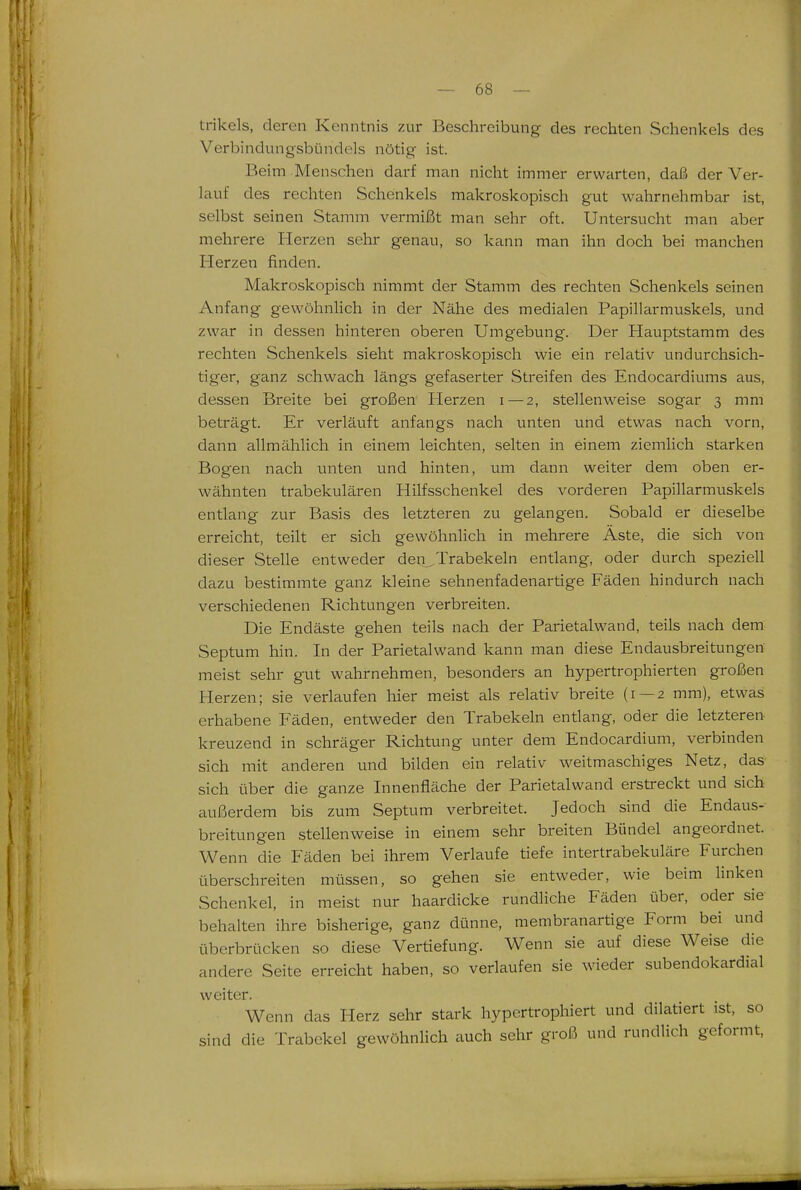 trikels, deren Kenntnis zur Beschreibung des rechten Schenkels dos Verbindungsbündels nötig ist. Beim Menschen darf man nicht immer erwarten, daß der Ver- lauf des rechten Schenkels makroskopisch gut wahrnehmbar ist, selbst seinen Stamm vermißt man sehr oft. Untersucht man aber mehrere Herzen sehr genau, so kann man ihn doch bei manchen Herzen finden. Makroskopisch nimmt der Stamm des rechten Schenkels seinen Anfang gewöhnhch in der Nähe des medialen Papillarmuskels, und zwar in dessen hinteren oberen Umgebung. Der Hauptstamm des rechten Schenkels sieht makroskopisch wie ein relativ undurchsich- tiger, ganz schwach längs gefaserter Streifen des Endocardiums aus, dessen Breite bei großen Herzen i — 2, stellenweise sogar 3 mm beträgt. Er verläuft anfangs nach unten und etwas nach vorn, dann allmählich in einem leichten, selten in einem ziemlich starken Bogen nach unten und hinten, um dann weiter dem oben er- wähnten trabekulären Hilfsschenkel des vorderen Papillarmuskels entlang zur Basis des letzteren zu gelangen. Sobald er dieselbe erreicht, teilt er sich gewöhnlich in mehrere Äste, die sich von dieser Stelle entweder den^Trabekeln entlang, oder durch speziell dazu bestimmte ganz kleine sehnenfadenartige Fäden hindurch nach verschiedenen Richtungen verbreiten. Die Endäste gehen teils nach der Parietalwand, teils nach dem Septum hin. In der Parietalwand kann man diese Endausbreitungen meist sehr gut wahrnehmen, besonders an hypertrophierten großen Herzen; sie verlaufen hier meist als relativ breite (1 — 2 mm), etwas erhabene Fäden, entweder den Trabekeln entlang, oder die letzteren kreuzend in schräger Richtung unter dem Endocardium, verbinden sich mit anderen und bilden ein relativ weitmaschiges Netz, das sich über die ganze Innenfläche der Parietalwand erstreckt und sich außerdem bis zum Septum verbreitet. Jedoch sind die Endaus- breitungen stellenweise in einem sehr breiten Bündel angeordnet. Wenn die Fäden bei ihrem Verlaufe tiefe intertrabekuläre Furchen überschreiten müssen, so gehen sie entweder, wie beim linken Schenkel, in meist nur haardicke rundliche Fäden über, oder sie behalten ihre bisherige, ganz dünne, membranartige Form bei und überbrücken so diese Vertiefung. Wenn sie auf diese Weise die andere Seite erreicht haben, so verlaufen sie wieder subendokardial weiter. Wenn das Herz sehr stark hypcrtrophiert und diktiert ist, so sind die Trabekel gewöhnlich auch sehr groß und rundlich geformt.