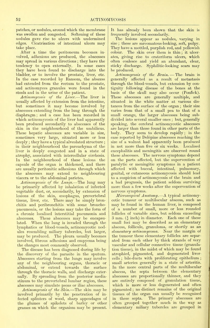 patches, or nodules, around which the membrane was swollen and congested. Softening of these nodules gave rise to ulcers with undermined edges. Cicatrisation of intestinal ulcers may take place. After a time the peritoneum becomes in- volved, adhesions are produced, the abscesses may spread in various directions ; they have the tendency to open externally. In some cases they have been found to discharge into the bladder, or to involve the prostate, liver, etc. In the case recorded by Ransom, the abscess had extended from the rectum to the prostate, and actinomyces granules were found in the stools and in the urine of the patient. Actinomycosis of the Liver.—The liver is usually affected by extension from the intestine, but sometimes it may become involved by abscesses extending from the lung through the diaphragm ; and a case has been recorded in which actinomycosis of the liver had apparently been produced secondarily to abscesses of the skin in the neighbourhood of the umbilicus. These hepatic abscesses are variable in size, sometimes very large, situated more or less deeply ; they have a typical alveolated structure ; in their neighbourhood the parenchyma of the liver is deeply congested and in a state of atrophy, associated with intercellular cirrhosis. In the neighbourhood of these lesions the capsule of the organ is thickened, and there are usually peritonitic adhesions through which the abscesses may extend to neighbouring viscera or to the abdominal parietes. Actinomycosis of the Lungs.—The lung may be primarily affected by inhalation of infected vegetable dust, or, secondarily, by extension of lesions of the skin, oesophagus, prevertebral tissue, liver, etc. There may be simply bron- chitis and peribronchitis with some broncho- pneumonia, or the lesions may take the form of a chronic localised interstitial pneumonia and abscesses. These abscesses may be encapsu- lated. When the lung is invaded through the lymphatics or blood-vessels, actinomycotic nod- ules resembling miliary tubercles, but larger, may be produced. The pleura usually becomes involved, fibrous adhesions and empyema being the changes most commonly observed. The disease has been diagnosed during life by the discovery of the parasite in the sputum. Abscesses starting from the lungs may involve any of the neighbouring organs, thoracic or abdominal, or extend towards the surface through the thoracic walls, and discharge exter- nally. By spreading from the posterior media- stinum to the prevertebral lumbar region, these abscesses may simulate psoas or iliac abscesses. Actinomycosis of the Skin.—The skin may be involved primarily by the penetration of in- fected splinters of wood, sharp appendages of the glumes of spikelets of barley or other grasses on which the organism may be present. It has already been shown that the skin is frequently involved secondarily. The lesions appear as nodules, varying in size ; these are sarcomatous-looking, soft, pulpy. They have a mottled, purplish red, and yellowish colour. The skin over them is thin; it ulcer- ates, giving rise to crateriform vilcers, which often coalesce and yield an abundant, clear, sticky discharge. Syphilitic-looking scars may be produced. Actinomycosis of the Brain. — The brain is generally affected as a residt of metastasis through the blood-vessels, but extension by con- tiguity following disease of the bones at the basis of the skull may also occur (Ponfick). These abscesses are generally multiple, and situated in the white matter at various dis- tances from the surface of the organ ; their size varies from that of a small pea to that of a small orange, the larger abscesses being sub- divided into several smaller ones ; hut, generally speaking, the cerebral actinomycotic abscesses are larger than those found in other parts of the body. They seem to develop rapidly; in the case reported by Delepine abscesses reaching the size of a walnut had apparently been produced in not more than five or six weeks. Localised encephalitis and meningitis are observed round these abscesses. The nervous symptoms depend on the parts affected, but the supervention of paralytic or meningitic symptoms in a patient affected with buccal, intestinal, pulmonary, genital, or cutaneous actinomycosis should lead to a suspicion of actinomycosis of the brain and a bad prognosis, the patient seldom surviving more than a few weeks after the supervention of nervous symptoms. Microscopical Anatomy.—A typical actinomy- cotic tumour or multilocular abscess, such as may be found in the human liver, is composed of a number of small, more or less rounded follicles of variable sizes, but seldom exceeding 3 mm. (|- inch) in diameter. Each one of these small foci may be described as an elementary abscess, foUicule, granuloma, or shortly as an elementary actinomycoma. Near the margin of the tumour these elementary follicles are separ- ated from each other by thick strands of very vascular and cellular connective tissue (granula- tion tissue), in the midst of which may be found atrophied, pigmented, and degenerated liver- cells ; bile-ducts with proliferating epithelium; small arteries generally in a state of arteritis. In the more central parts of the multilocular abscess, the septa between the elementary abscesses are proportionally thinner, and they are entirely composed of granulation tissue, which is more or less degenerated and often pigmented; no distinct remains of the original tissues of the organ can usually be recognised in these septa. The primary abscesses are often grouped together much in the way as elementary miliary tubercles are grouped in
