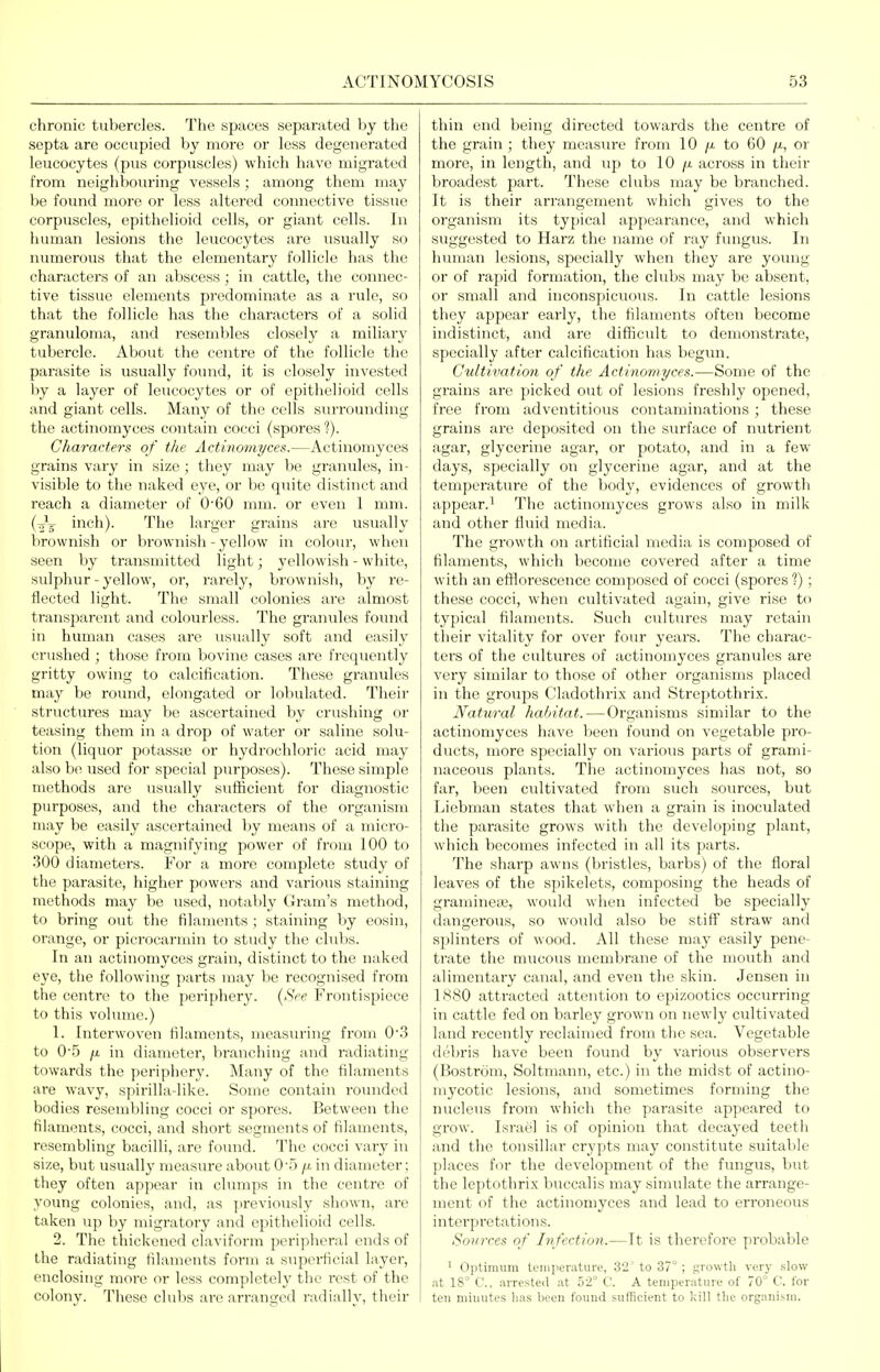 chronic tubercles. The spaces separated by the septa are occupied by more or less degenerated leucocytes (pus corpuscles) which have migrated from neighbouring vessels; among them may be found more or less altered connective tissue corpuscles, epithelioid cells, or giant cells. In human lesions the leucocytes are usually so numerous that the elementary follicle has the characters of an abscess; in cattle, the connec- tive tissue elements predominate as a rule, so that the follicle has the characters of a solid granuloma, and resembles closely a miliary tubercle. About the centre of the follicle the parasite is usually found, it is closely invested by a layer of leucocytes or of epithelioid cells and giant cells. Many of the cells surrounding the actinomyces contain cocci (spores ?). Characters of the Actinomyces.—Actinomyces grains vary in size ; they may be granules, in- visible to the naked eye, or be quite distinct and reach a diameter of 0'60 mm. or even 1 mm. (■^^ inch). The larger grains are usually brownish or brownish - yellow in colour, when seen by transmitted light; yellowish - white, sulphur - yellow, or, rarely, brownish, by re- flected light. The small colonies are almost transparent and colourless. The granules found in human cases are usually soft and easily crushed ; those from bovine cases are frequently gritty owing to calcification. These granules may be round, elongated or lobulated. Their structures may be ascertained by crushing or teasing them in a drop of water or saline solu- tion (liquor potassiB or hydrochloric acid may also be used for special pm-poses). These simple methods are usually sufficient for diagnostic purposes, and the characters of the organism may be easily ascertained by means of a micro- scope, with a magnifying power of from 100 to 300 diameters. For a more complete study of the parasite, higher powers and various staining methods may be used, notably Ciram's method, to bring out the filaments ; staining by eosin, orange, or picrocarmin to study the clubs. In an actinomyces grain, distinct to the naked eye, tlie following parts may be recognised from the centre to the periphery. {See Frontispiece to this volume.) 1. Interwoven filaments, measuring from 0'3 to 0-5 n in diameter, branching and radiating towards the periphery. Many of the filaments are wavy, spirilla-like. Some contain rounded bodies resembling cocci or spores. Between the filaments, cocci, and short segments of filaments, resembling bacilli, are found. The cocci vary in size, but usuall}' measure about 0'5 /x in diameter; they often appear in clumps in the centre of young colonies, and, as jii-eviously shown, are taken up by migratory and epitlielioid cells. 2. The thickened claviform peripheral ends of the radiating filaments form a supei'ficial layer, enclosing raoi-e or less complctelj the rest of the colony. These clubs are arranged radially, their thin end being directed towards the centre of the grain ; they measure from 10 /j. to 60 or more, in length, and up to 10 /a across in their broadest part. These clubs may be branched. It is their arrangement which gives to the organism its typical appearance, and which suggested to Harz the name of ray fungus. In human lesions, specially when they are young or of rapid formation, the clubs may be absent, or small and inconspicuous. In cattle lesions they appear early, the filaments often become indistinct, and are difficult to demonstrate, specially after calcification has begun. Ctiltwation of the Actinontyces.—Some of the grains are picked out of lesions freshly opened, free from adventitious contaminations; these grains are deposited on the surface of nutrient agar, glycerine agar, or potato, and in a few days, specially on glycerine agar, and at the temperature of the body, evidences of growth appear.^ The actinomyces grows also in milk and other fluid media. The growth on artificial media is composed of filaments, which become covered after a time with an efflorescence composed of cocci (spores ?); these cocci, when cultivated again, give rise to typical filaments. Such cultures may retain their vitality for over four years. The charac- ters of the cultures of actinomyces granules are very similar to those of other organisms placed in the groups Cladothrix and Streptothrix. Natairal habitat.—Organisms similar to the actinomyces have been found on vegetable pro- ducts, more specially on various parts of grami- naceous plants. The actinomyces has not, so far, been cultivated from siich sources, but Liebman states that when a grain is inoculated the parasite grows with the developing plant, which becomes infected in all its parts. The sharp awns (bristles, barbs) of the floral leaves of the spikelets, composing the heads of gramineaj, would when infected be specially dangerous, so would also be stiff straw and splinters of wood. All these may easily pene- trate the mucous membrane of the mouth and alimentary canal, and even the skin. Jensen in 1880 attracted attention to epizootics occurring in cattle fed on barley grown on newly cultivated land recently reclaimed from the sea. Vegetable debris have been found by various observers (Bostrom, Soltmann, etc.) in the midst of actino- mycotic lesions, and sometimes forming the nucleus from which the parasite appeared to grow. Israel is of opinion that decayed teeth and the tonsillar crypts may constitvite suitable places for the development of the fungus, but the leptothrix buccal is may simulate the arrange- ment of the actinomyces and lead to erroneous interpretations. Sources of Infection.—It is therefore probable ' Optimum temperature, 32'to 37°; growth very slow at 18 C, arrested at 52° C. A temperature of 70° C. for ten miuutes lias been found sufficient to kill the organism.