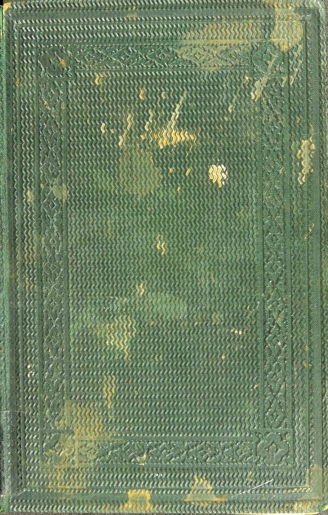digitised image 1