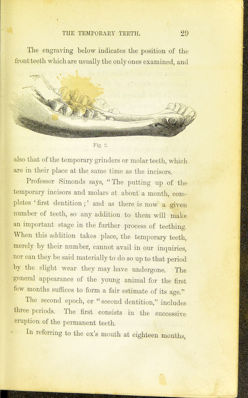 The engraving below indicates the position of the fi-ont teeth wliichare usually the only ones examined, and Fig. -1. also that of the temporary grinders or molar teeth, wliich are in their place at the same time as the incisors. Professor Simonds says, The putting up of the temporary incisors and molars at ahout a month, com- pletes ' first dentition;' and as there is now a oiven mmiher of teeth, so any addition to them will make an important stage in the further process of teething. When this addition takes place, the temporary teeth, merely by their number, cannot avail in our inquiries, nor can they be said materially to do so up to that period by the slight wear they may have undergone. The general appearance of the young animal for the first few months suffices to form a fair estimate of its age. The second epoch, or second dentition, includes three periods. Tlie first consists in the successive eruption of the permanent teeth. In referring to the ox's mouth at eighteen months,