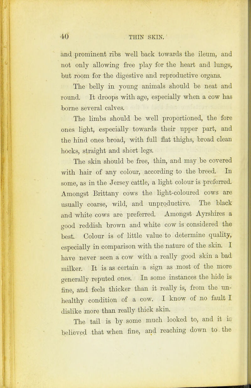 and prominent ribs well back towards the ileum, and not only allowing free play for the heart and lungs, but room for the digestive and reproductive organs. The belly in young animals should be neat and round. It droops with age, especially when a cow has borne several calves. The limbs should be well proportioned, the fore ones hght, especially towards their upper part, and the hind ones broad, with full flat thighs, broad clean hocks, straight and short legs. The skin should be free, thin, and may be covered with hair of any colour, according to the breed. In some, as in the Jersey cattle, a light colour is preferred. Amongst Brittany cows the light-coloured cows are usually coarse, wild, and unproductive. The black and white cows are preferred. Amongst Ayrshires a wood reddish brown and white cow is considered the best. Colour is of little value to determine quality, especially in comparison with the nature of the skin. I have never seen a cow with a really good skin a bad milker. It is as certain a sign as most of the more generally reputed ones. In some instances the liide is fine, and feels thicker than it reaUy is, from the un- healthy condition of a cow. I know of no fault I dislike more than really thick skin. The tail is by some much looked to, and it iff believed that when fine, and reaching down to the