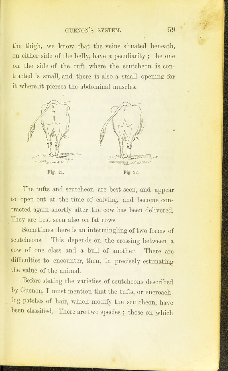 the thigh, we know that the veins situated beneath, on either side of the helly, have a peculiarity ; the one on the side of the tuft where the scutcheon is con- tracted is small, and there is also a smaU opening for it where .it pierces the abdominal muscles. The tufts and scutcheon are best seen, and appear to open out at the time of calving, and become con- tracted again shortly after the cow has been delivered. They are best seen also on faf cows. Sometimes there is an intermingling of two forms of scutcheons. This depends on the crossing between a cow of one class and a bull of another. There are difficulties to encounter, then, in precisely estimating the value of the animal. Before stating the varieties of scutcheons described by Guenon, I must mention that the tufts, or encroach- ing patches of hair, which modify the scutcheon, have been classified. There are two species ; those on ^hich Fig. 21. Fig. 22.