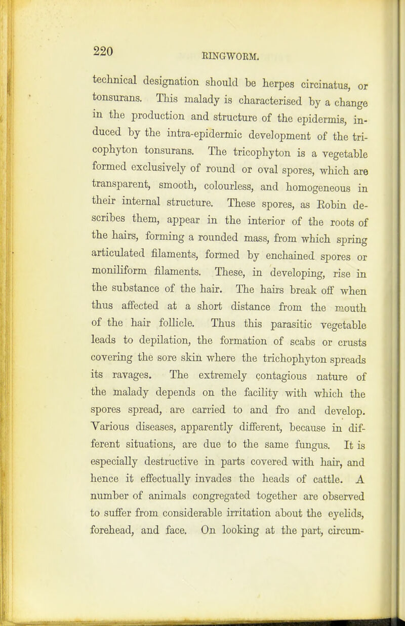 RINGWORM. technical designation should be herpes circinatus, or tonsurans. This malady is characterised by a change in the production and structure of the epidermis, in- duced by the intra-epidermic development of the tri- cophyton tonsurans. The tricophyton is a vegetable formed exclusively of round or oval spores, which are transparent, smooth, colourless, and homogeneous in their internal structure. These spores, as Eobin de- scribes them, appear in the interior of the roots of the hairs, forming a rounded mass, from which spring articulated filaments, formed by enchained spores or moniliform filaments. These, in developing, rise in the substance of the hair. The hairs break off when thus affected at a short distance from the mouth of the hair follicle. Thus this parasitic vegetable leads to depilation, the formation of scabs or crusts covering the sore skin where the trichophyton spreads its ravages. The extremely contagious nature of the malady depends on the facility with which the spores spread, are carried to and fro and develop. Various diseases, apparently different, because in dif- ferent situations, are due to the same fungus. It is especially destructive in parts covered with hair, and hence it effectually invades the heads of cattle, A number of animals congregated together are observed to suffer from considerable irritation about the eyelids, forehead, and face. On looking at the part, circum-