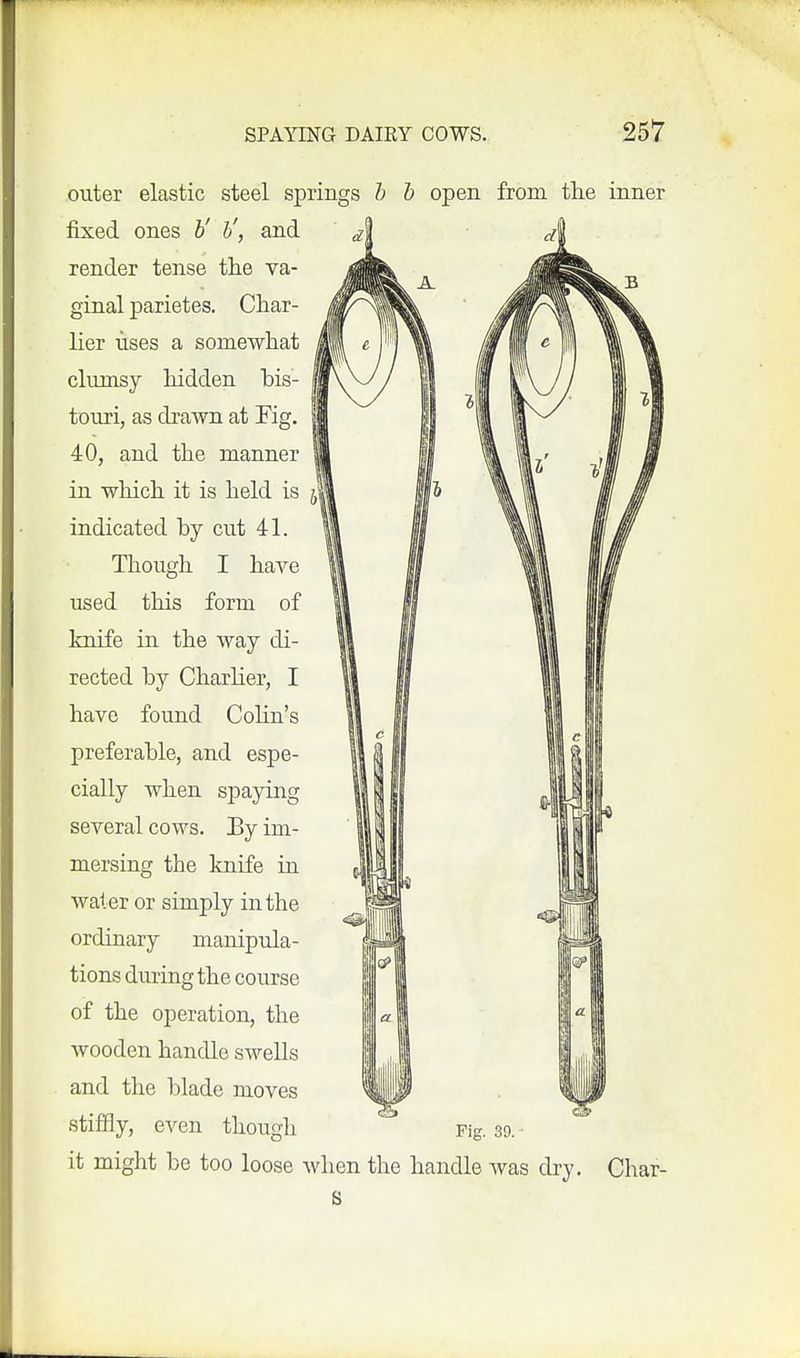 outer elastic steel springs h open from the inner fixed ones h' h', and render tense the va- ginal parietes. Char- lier lises a somewhat clumsy hidden his- touri, as drawn at Kg. 40, and the manner in which it is held is indicated hy cut 41. Though I have used this form of knife in the way di- rected by Charher, I have found Cohn's preferable, and espe- cially when spaying several cows. By im- mersing the knife in Avater or simply in the ordinary manipula- tions during the course of the operation, the wooden handle swells and the blade moves stiffly, even though Fig. 39. it might be too loose when the handle was dry. Char-