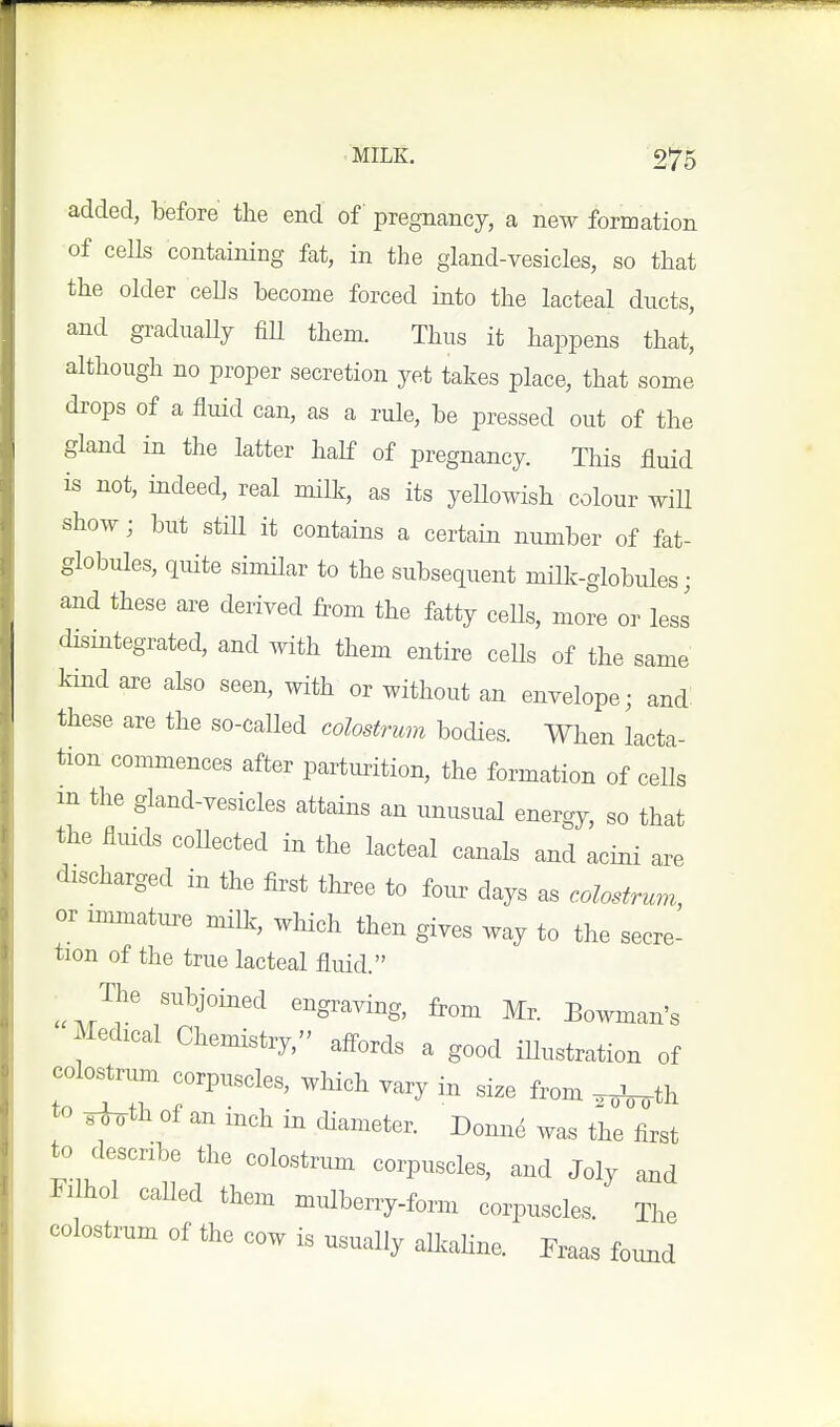 added, before the end of pregnancy, a new formation of cells containing fat, in the gland-vesicles, so that the older cells become forced into the lacteal ducts, and gradually fiU them. Thus it happens that, although no proper secretion yet takes place, that some drops of a fluid can, as a rule, be pressed out of the gland in the latter half of pregnancy. Tliis fluid is not, indeed, real milk, as its yeUowish colour will show; but stiU it contains a certain number of fat- globules, quite similar to the subsequent millc-globules; and these are derived from the fatty ceUs, more or less disintegrated, and with them entire cells of the same kind are also seen, with or without an envelope; and these are the so-called colostrum bodies. When lacta- tion commences after parturition, the formation of cells m the gland-vesicles attains an unusual energy, so that the fluids coUected in the lacteal canals and acini are discharged in the first three to fotir days as colostrum, or immature miDc, wliich then gives way to the secre- tion of the true lacteal fluid. The subjoined engraving, from Mr. Bowman's Medical Chemistry, affords a good iUustration of colostrum corpuscles, which vary in size from Wn^th to ^th of an inch in diameter. Donn^ was the first to describe the colostrum corpuscles, and Joly and Filhol caUed them mulberry-form corpuscles. The colostrum of the cow is usually alkahne. Fraas found