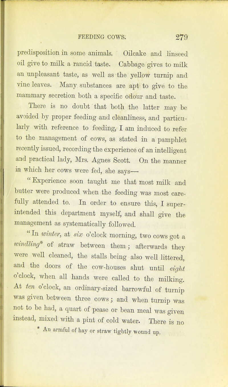 predisposition in some animals. Oilcake and linseed oil give to milk a rancid taste. Cabbage gives to milk an unpleasant taste, as well as the yellow turnip and vine leaves. Many substances are apt to give to the mammary secretion both a specific odour and taste. There is no doubt that both the latter may be avoided by proper feeding and cleanliness, and particu- larly with reference to feeding, I am induced to refer to the management of cows, as stated in a pamphlet recently issued, recording the experience of an intelligent and practical lady, Mrs. Agnes Scott. On the manner in which her cows were fed, she says— Experience soon taught me that most millc and butter were produced when the feeding was most care- fully attended to. In order to ensure this, I super- intended this department myself, and shall give the management as systematically followed.  In winter, at six o'clock morning, two cows got a windling* of straw between them; afterwards they were weU cleaned, the stalls being also weU littered, and the doors of the cow-houses shut until eight o'clock, when all hands were caUed to the milking. At ten o'clock, an ordinary-sized barrowful of turnip was given between three cows; and when turnip was not to be had, a quart of pease or bean meal was given instead, mixed with a pint of cold water. There is no • An armful of hay or straw tightly wound up.