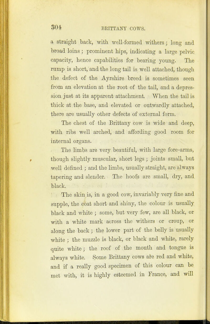 a straight back, with well-formed withers; long and broad loins; prominent hips, indicating a large pelvic capacity, hence capabilities for bearing young. The rump is short, and the long tail is well attached, thougli the defect of the Ayrslure breed is sometimes seen from an elevation at the root of the tail, and a depres- sion just at its apparent attachment. Wlien the tail is thick at the base, and elevated or outwardly attached, there are usually other defects of external form. The chest of the Brittany cow is wide and deep, with ribs well arched, and affording good room for internal organs. The hmbs are very beautiful, with large fore-arms, though slightly muscular, short legs ; joints small, but well defined ; and the limbs, usually straight, are always tapering and slender. The hoofs are small, dry, and. black. The skin is, in a good cow, invariably very fine and supple, the coat short and shiny, the colour is usually black and white ; some, but very few, are all black, or with a white mark across the withers or croup, or along the back; the lower part of the belly is usually white ; the muzzle is black, or black and white, rarely quite white; the roof of the mouth and tongue is always white. Some Brittany cows are red and white, and if a really good specimen of this colour can be met with, it is highly esteemed in France, and will