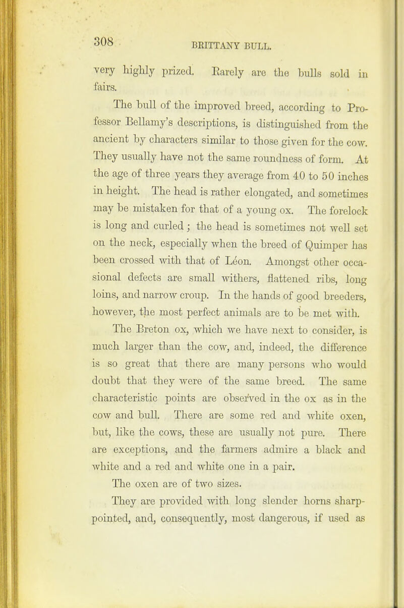 very highly prized. Earely are the bulls sold in fairs. The bull of the improved breed, according to Pro- fessor Bellamy's descriptions, is distinguished from the ancient by characters similar to those given for the cow. They usually have not the same roundness of form. At the age of three years they average from 40 to 50 inches in height. The head is rather elongated, and sometimes may be mistaken for that of a young ox. The forelock is long and curled; the head is sometimes not well set on the neck, especially when the breed of Quimper has been crossed mth that of Leon. Amongst other occa- sional defects are small Avithers, flattened ribs, long loins, and narrow croup. In the hands of good breeders, however, the most perfect animals are to be met with. The Breton ox, which we have next to consider, is much larger than the cow, and, indeed, the difference is so great that there are many j)ersons who would doubt that they were of the same breed. The same characteristic points are observed in the ox as in the cow and bull. There are some red and white oxen, but, like the cows, these are usually not pure. There are exceiDtions, and the farmers admire a black and white and a red and white one in a pair. The oxen are of two sizes. They are provided with long slender horns sharp- pointed, and, consequently, most dangerous, if used as