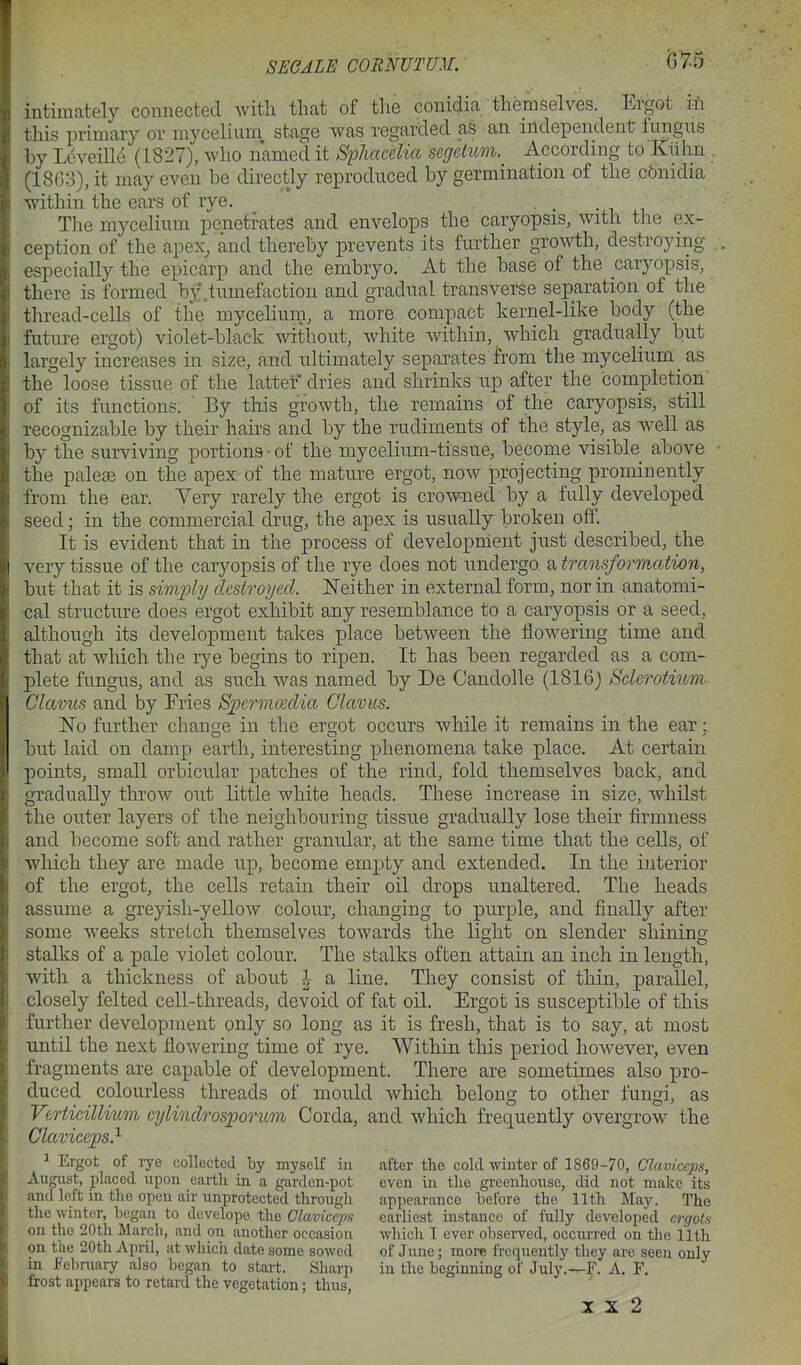 G7.5 intimately connected with that of the coni^ia themselves. Ergot ii\ this primary oY mycelium stage was regarclecl as an independent fungus by Lcveill6 (1827), who named it SphaceUa segetum. According to Kiihn . (I860), it may even be directly reproduced by germination of the c5nidia within the ears of rye. • • i i Tlie mycelium penetrates and envelops the caryopsis, with the ex- ception of the apex, and thereby prevents its further growth, destroying especially the epicarp and the embryo. At the base of the caryopsis, there is formed by .tumefaction and gradual transverse separation of the thread-cells of the mycelium, a more compact kernel-like body (the future ergot) violet-black without, white within, which gradually but largely increases in size, and ultimately separates from the mycelium as the loose tissue of the latter dries and shrinks up after the completion' of its functions: ' By tMs growth, the remains of the caryopsis, still recognizable by their hairs and by the rudiments of the style, as well as by the surviving portions-of the mycelium-tissue, become visible above the palcEe on the apex of the mature ergot, now iDrojecting prominently from the ear. A^ery rarely the ergot is crowned by a fully developed seed; in the commercial drug, the apex is usually broken off. It is evident that in the process of development just described, the very tissue of the caryopsis of the rye does not undergo a transformation, but that it is sim2oly destroyed. Neither in external form, nor in anatomi- cal structure does ergot exhibit any resemblance to a caryopsis or a seed, although its development takes place between the flowering time and that at which the rye begins to ripen. It has been regarded as a com- plete fungus, and as such was named by De Candolle (1816) Sclerotium Clavus and by Fries Spcrmmdia Claviis. ISTo further change in the ergot occurs while it remains in the ear; but laid on damp earth, interesting phenomena take place. At certain points, small orbicular patches of the rind, fold themselves back, and gradually throw out little white heads. These increase in size, whilst the outer layers of the neighbouring tissue gradually lose their firmness and become soft and rather granular, at the same time that the cells, of which they are made up, become empty and extended. In the interior of the ergot, the cells retain their oil drops unaltered. The heads assume a greyish-yellow colour, changing to piu^ple, and finally after some weeks stretch themselves towards the light on slender shining stalks of a pale violet colour. The stalks often attain an inch in length, with a thickness of about |- a line. They consist of thin, parallel, closely felted cell-threads, devoid of fat oil. Ergot is susceptible of this further development only so long as it is fresh, that is to say, at most until the next flowering time of rye. Within this period however, even fragments are capable of development. There are sometimes also pro- duced colourless threads of mould which belong to other fungi, as Verticillium cylindrosporum Corda, and which frequently overgrow the Claviceps} 1 Ergot of lye collected by myself in after the cold winter of 1869-70, Claviceps, August, placed upon earth in a garden-pot even in the greenhouse, did not make its and left in the open air unprotected through appearance hefore the 11th May. The the winter, began to developo the Claviceps earliest instance of fully developed ergots on the 20th March, and on another occasion which I ever observed, occurred on the 11th on the 20th April, at which date some sowed of June; more frequently they are seen only in i<ebruary also began to start. Sharp in the beginning of July.—F. A, F. frost appears to retard the vegetation; thus, X X 2