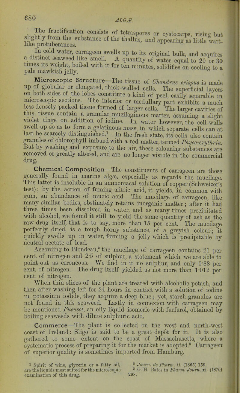 ALGJE. The fructification consists of tetraspores or cystocarps, rising hut slightly fix)m the substance of the thallus, and appearing as little wart- like protuberances. x i o In cold water carrageen swells up to its original bulk, and acquires a distinct seaweed-hke smell. A quantity of water equal to 20 or 30 times Its weight boiled with it for ten minutes, solidifies on coolin^r to a pale mawkish jelly. ° Microscopic Structure—The tissue of Chondrus crispus is made up of globular or elongated, thick-walled cells. The superficial layers on both sides of the lobes constitute a kind of peel, easHy separable in microscopic sections. The interior or medullary part exhibits a much less densely packed tissue formed of larger cells. The larger cavities of this tissue contain a granular mucilaginous matter, assuming a slight violet tmge on addition of iodine. In water however, the ceU-waUs swell up so as to form a gelatinous mass, in which separate cells can at last be scarcely distinguished.1 In the fresh state, its cells also contain gi-anules of chlorophyll imbued with a red matter, termed Phyco-enjthrin. But by washing and exposure to the air, these colouring substances are removed or greatly altered, and are no longer visible in the commercial drug. Chemical Composition—The constituents of carrageen are those generally found in marine algae, especially as regards the mucilage. This latter is insoluble in an ammoniacal solution of copper (Schweizer's test); by the action of fuming nitric acid, it yields, in common with gum, an abundance of mucic acid. The mucilage of carrageen, like many similar bodies, obstinately retains inorganic matter; after it had three times been dissolved in w^ater, and as many times precipitated with alcohol, we found it still to yield the same quantity of ash as the raw drug itself, that is to say, more than 15 per cent. The mucilage perfectly dried, is a tough horny substance, of a greyish colour; \t quickly swells up in water, forming a jelly which is precipitable by neutral acetate of lead. According to Blondeau,^ the mucilage of carrageen contains 21 per cent, of nitrogen and 2-5 of sulphur, a statement which we are able to point out as erroneous. We find in it no sulphur, and only 0-88 per cent, of nitrogen. The drug itself yielded us not more than 1'012 per cent, of nitrogen. When thin slices of the plant are treated with alcoholic potash, and then after washing left for 24 hours in contact with a solution of iodine in potassium iodide, they acquire a deep blue; yet, starch granules are not found in this seaweed. Lastly in connexion with carrageen may be mentioned Fucusol, an oily liquid isomeric with furfurol, obtained by boiling seaweeds with dilute sulphuric acid. Commerce—The plant is collected on the west and north-west coast of Ireland: Sligo is said to be a great depot for it. It is also gathered to some extent on the coast of Massachusetts, where a systematic process of preparing it for the market is adopted.^ Carrageen of superior quality is sometimes im^Dorted from Hamburg. 1 Spirit of wine, glycerin or a fatty oil, ^ Jourii. dc Pharm. ii. (1865) 159. are the liqiiids most suited for the microscopic ^ G. H. Bates in Pharm. Journ. li. (1870) examination of this drug. . 298.