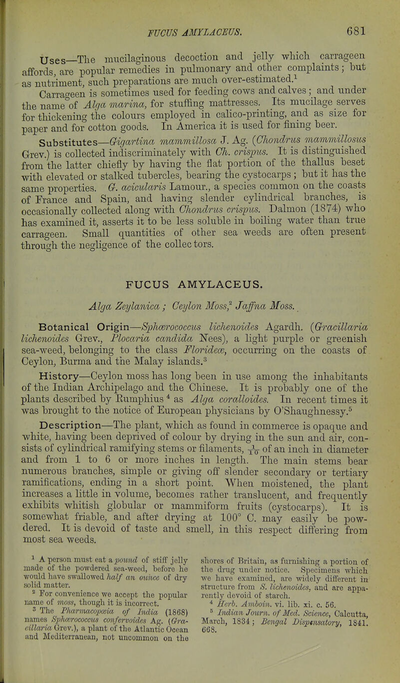 Uses—The mucilaginous decoction and jelly wliicli carrageen affords, are popular remedies in pulmonary and other complaints; but as nutriment, such preparations are much over-estimated.^ Carrageen is sometimes used for feeding cows and calves; and under the name°of Alga marina, for stuffing mattresses. Its mucilage serves for thickening the colours employed in calico-printing, and as size for paper and for cotton goods. In America it is used for fining beer. Substitutes—Gfigartina mammillosa J. Ag. (Chondrus mammillosus Grev.) is collected indiscriminately with Ch. crisjms. It is distinguished from the latter chiefly by having the flat portion of the thallus beset with elevated or stalked tubercles, bearing the cystocarps; but it has the same properties. G. acicularis Lamour., a species common on the coasts of France and Spain, and having slender cylindrical branches, is occasionally collected along with Chondrus crispus. Dalmon (1874) who has examined it, asserts it to be less soluble in boiling water than true carrageen. Small quantities of other sea weeds are often present through the negligence of the collec tors. FUCUS AMYLACEUS. Alga Zeylanica ; Ceylon Moss^ Jaffna Moss. Botanical Origin—S;phmrococcus lichenoides Agardh. (Gracillaria lichenoides G-rev., Flocaria Candida ISTees), a light purple or greenish sea-weed, belonging to the class Florideoi, occurring on the coasts of Ceylon, Burma and the Malay islands.^ History—Ceylon moss has long been in use among the inhabitants of the Indian Archipelago and the Chinese. It is probably one of the plants described by Eumphius * as Alga coralloides. In recent times it was brought to the notice of European physicians by O'Shaughnessy.^ Description—The plant, which as found in commerce is opaque and white, having been deprived of colour by drying in the sun and air, con- sists of cylindrical ramifying stems or filaments, yV of an inch in diameter and from 1 to 6 or more inches in lengtli. The main stems bear numerous branches, simple or giving off slender secondary or tertiary ramifications, ending in a short point. When moistened, the plant increases a little in volume, becomes rather translucent, and frequently exhibits whitish globular or mammiform fruits (cystocarps). It is somewhat friable, and after drying at 100° C. may easily be pow- dered. It is devoid of taste and smeU, in this respect differing from most sea weeds. ^ A person must eat a.pound of stiff jelly made of the powdered sea-weed, before he would have swallowed half an ounce of dry- solid matter. ^ For convenience we accept the popular name of 7noss, though it is incorrect. 3 The Pharmacopeia of India (1868) names Sphmrococctis confervoides Ag. {Ora- eillariu Grev.), a plant of the Atlantic Ocean and Mediterranean, not uncommon on the shores of Britain, as furnishing a portion of the drug under notice. Specimens which we have examined, are widely different in structure from S. lichenoides, and are appa- rently devoid of starch. ^ Herb. Amboin. vi. lib. xi. c. 56. s Indian Journ. of Med. Science, Calcutta, March, 1834; Bengal Disptnsatory, 1841. 668.