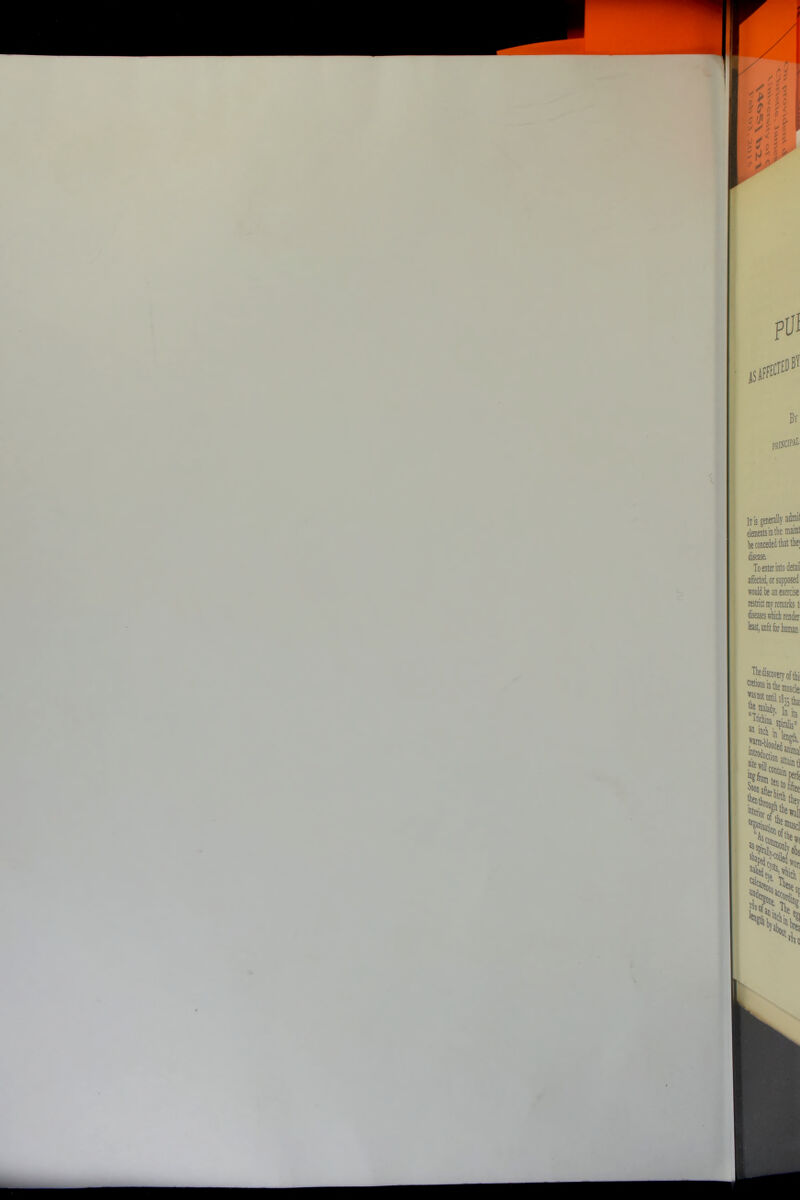 * Ills generally admit elements in the maint be conceded that tk; disease. To enter into detail affected, or supposed would be an exercise restrict my remarks ti diseases wiicli render least, unfit for human ^Rediscovery of thi; ^'^•isinthenwsdei » In its an ^rt ste„iii73^laiiitl