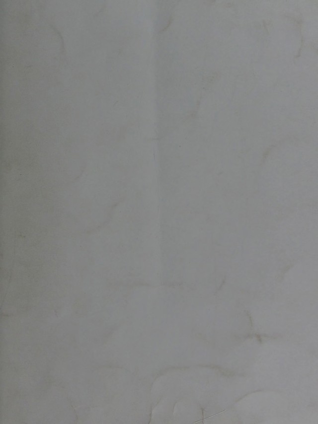 digitised image 1