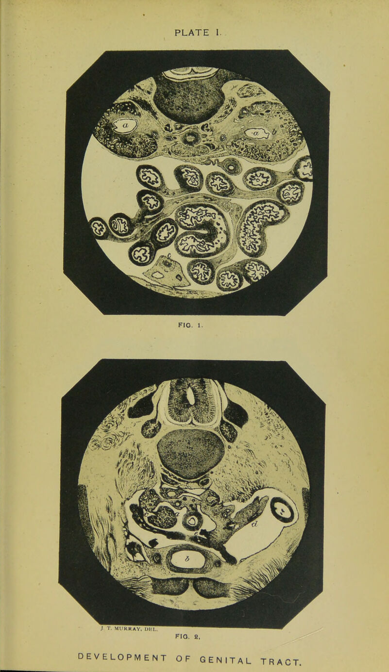 FIG. 8,