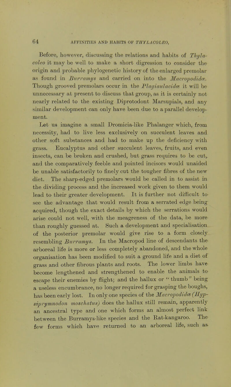 Before, however, discussing the relations and habits of Thyla- colco it may be well to make a short digression to consider the origin and probable phylogenetic history of the enlarged premolar as found in Burrmmjs and carried on into the Macropodidui. Though grooved premolars occur in the Plcu/iaulacidoi it will be unnecessary at present to discuss that group, as it is certainly not nearly related to the existing Diprotodont Marsupials, and any similar development can only have been due to a parallel develop- ment. Let us imagine a small Dromicia-like Phalanger which, from necessity, had to live less exclusively on succulent leaves and other soft substances and had to make up the deficiency with grass. Eucalyptus and other succulent leaves, fruits, and even insects, can be broken and crushed, but grass requires to be cut, and the comparatively feeble and pointed incisors would unaided be unable satisfactorily to finely cut the tougher fibres of the new diet. The sharp-edged premolars would be called in to assist in the dividing process and the increased work given to them would lead to their greater development. It is further not difficult to see the advantage that would result from a serrated edge being acquired, though the exact details by which the serrations would arise could not well, with the meagreness of the data, be more than roughly guessed at. Such a development and specialisation of the posterior premolar would give rise to a form closely resembling Burramys. In the Macropod line of descendants the arboreal life is more or less completely abandoned, and the whole organisation has been modified to suit a ground life and a diet of grass and other fibrous plants and roots. The lower limbs have become lengthened and strengthened to enable the animals to escape their enemies by flight; and the hallux or '* thumb  being a useless encumbrance, no longer required for grasping the boughs, has been early lost. In only one species of the 3Iacropodidce (Ryp- siprymnodon moschatus) does the hallux still remain, apparently an ancestral type and one which forms an almost perfect link between the Burramys-like species and the Rat-kangaroo. The few forms which havo returned to an arboreal life, such as.