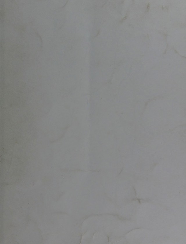 digitised image 1