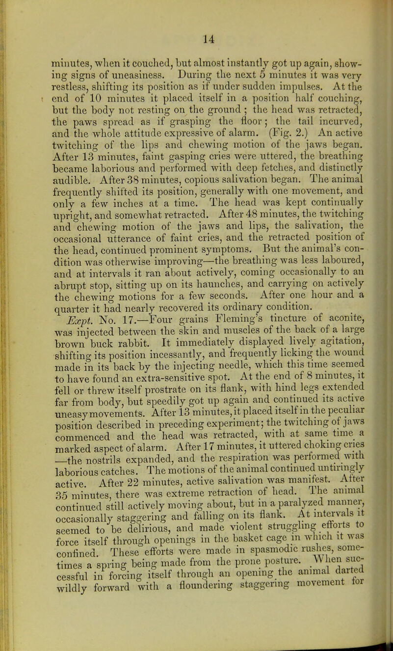 minutes, when it couched, but almost instantly got up again, show- ing signs of uneasiness. During the next 5 minutes it was very restless, shifting its position as if under sudden impulses. At the end of 10 minutes it placed itself in a position half couching, but the body not resting on the ground ; the head was retracted, the paws spread as if grasping the floor; the tail incurved, and the whole attitude expressive of alarm. (Fig. 2.) An active twitching of the lips and chewing motion of the jaws began. After 13 minutes, faint gasping cries were uttered, the breathing became laborious and performed with deep fetches, and distinctly audible. After 38 minutes, copious salivation began. The animal frequently shifted its position, generally with one movement, and only a few inches at a time. The head was kept continually upright, and somewhat retracted. After 48 minutes, the t\yitching and chewing motion of the jaws and lips, the salivation, the occasional utterance of faint cries, and the retracted position of the head, continued prominent symptoms. But the animal's con- dition was otherwise improving—the breathing was less laboured, and at intervals it ran about actively, coming occasionally to an abrupt stop, sitting up on its haunches, and carrying on actively the chewing motions for a few seconds. After one hour and a quarter it had nearly recovered its ordinary condition. Expt. No. 17.—Four grains Fleming's tincture of aconite, was injected between the skin and muscles of the back of a large brown buck rabbit. It immediately displayed lively agitation, shifting its position incessantly, and frequently licking the wound made in its back by the injecting needle, which this time seemed to have found an extra-sensitive spot. At the end of 8 minutes, it fell or threw itself prostrate on its flank, with hind legs extended far from body, but speedily got up again and continued its active uneasy movements. After 13 minutes, it placed itself m the peculiar position described in preceding experiment; the twitching of jaws commenced and the head was retracted, with at same time a marked aspect of alarm. After 17 minutes, it uttered choking cries —the nostrils expanded, and the respiration was performed with laborious catches. The motions of the animal continued untiringly active. After 22 minutes, active salivation was manifest. Alter 35 minutes, there was extreme retraction of head. The animal continued still actively moving about, but in a paralyzed manner, occasionally staggering and falling on its flank. At intervals it seemed to be delirious, and made violent strugglmg effoi-ts to force itself through openings in the basket cage in which it was confined. These efforts were made in spasmodic rushes, some- times a spring being made from the prone posture. .^^ ^/^n suc- cessful in forcing itself through an opening the animal darted wildly forward with a floundering staggering movement tor