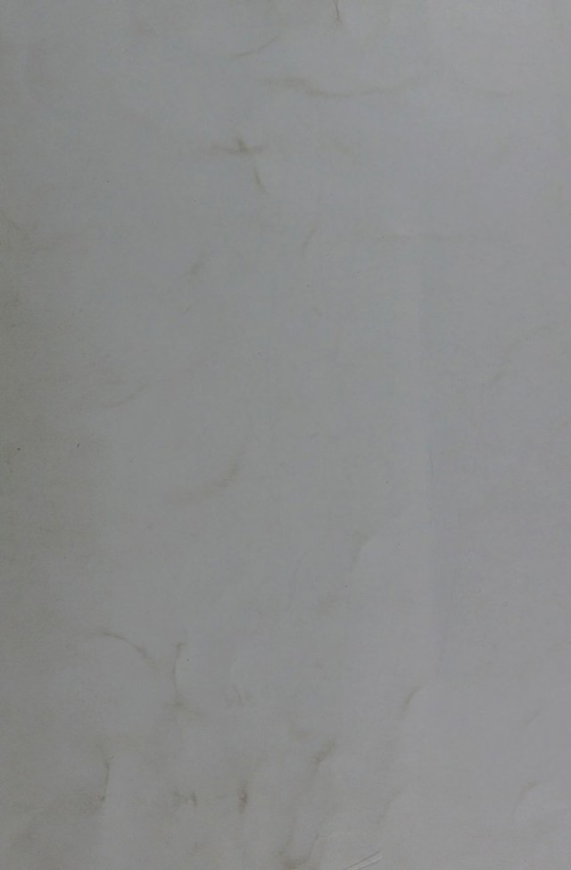 digitised image 1