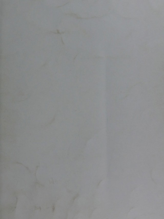 digitised image 1