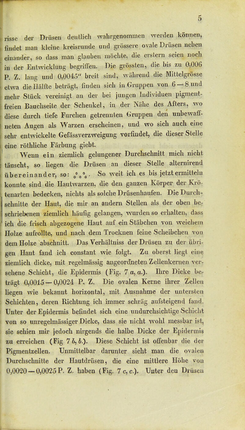 risse der Drüsen deutlicli wahrgenommen werden können, Imdet man kleine kreisrunde und grössere ovale Drüsen neben einander, so dass man glauben möchte, die erstem seien noch in der Enü-v-icklung begriffen. Die grössten, die bis äu 0,006 P. Z. lang und 0,0045 breit sind, während die Mittelgrösse etwa die Hälfte beträgt, finden sich in Gruppen von 6 —8 und mehr Stück vereinigt an der bei jungen Individuen pigment- freien Bauchseite der Schenkel, in der Nähe des Afters, wo diese durch tiefe Furchen getrennten Gruppen den unbewaff- neten Augen als Warzen erscheinen, und wo sich auch eine sehr entwickelte Gefässverzweigung vorfindet, die dieser Stelle eine röthliche Färbung giebt. Wenn ein ziemlich gelungener Durchschnitt mich nicht täuscht, so liegen die Drüsen an dieser Stelle alternirend übereinander, so: „«o«- So weit ich es bis jetzt ermitteln konnte sind die Hautwarzen, die den ganzen Körper der Ki-ö- tenarten bedecken, nichts als solche Drüsenliaufen. DieDm ch- schnitte der Haut, die mir an andern Stellen als der oben bcr schriebenen ziemlich häufig gelangen, wurden so erhalten, dass ich die frisch abgezogene Haut auf ein Stäbchen von weichem Holze aufrollte, und nach dem Trocknen feine Scheibchen von dem Holze abschnitt. Das Verhältniss der Drüsen zu der übri- gen Haut fand ich constant wie folgt. Zu oberst liegt eine ziemlich dicke, mit regelmässig angeordheteu Zellenkeruen ver- sehene Schicht, die Epidermis (Fig. 7a,a.). Ihre Dicke be- trägt 0,0015 — 0,0024 P» Z. Die ovalen Kerne ihrer Zellen liegen wie bekannt horizontal, mit Ausnahme der untersten Schichten, deren Richtung ich immer schräg aufsteigend fand. Unter der Epidermis befindet sich eine undurchsichtige Schicht von so unregelmässiger Dicke, dass sie nicht wolü raessbar ist, sie schien mir jedoch nirgends die halbe Dicke der Epidermis zu erreichen (Fig 76,6.). Diese Schicht ist offenbar die der Pigmentzellen. Unmittelbar darunter sieht man die ovalen Durchschnitte der Hautdrüsen, die eine mittlere Höhe von 0,0020 —0,0025P. Z. haben (Fig. 7c,c.). Unter den Drüsen