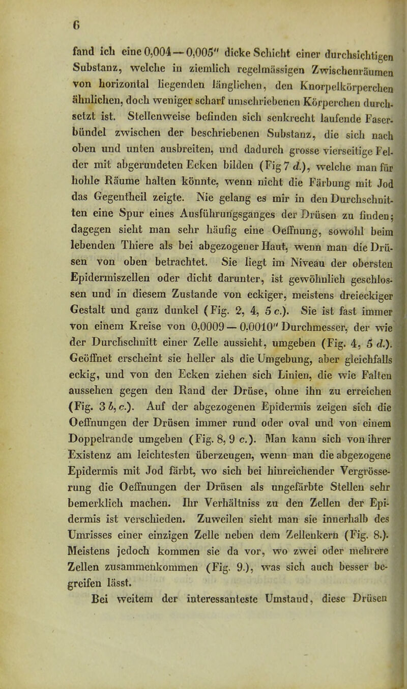 fand ich eine 0,004 —0,005 dicke Schicht einer durchsichtigen Substanz, welche in ziemlich regelmässigen Zwischenräumen von horizontal liegenden länglichen, den Knorjielkürpcrchen ähnlichen, doch weniger scharf umschriebenen Körperchen durch- setzt ist. Stellenweise befinden sich senkrecht laufende Faser, bündel zwischen der beschriebenen Substanz, die sich nach oben und unten ausbreiten, und dadurch grosse vierseitige Fei- der mit abgerundeten Ecken bilden (FigTcZ.), welche man für hohle Räume halten könnte, wenn nicht die Färbung mit Jod das Gegentheil zeigte. Nie gelang es mir in den Durchschnit- ten eine Spur eines Ausführurigsganges der Drüsen zu findcD; dagegen sieht man sehr häufig eine Oeffnung, sowohl beim lebenden Thiere als bei abgezogener Haut, wenn man die Drü- sen von oben betrachtet. Sie liegt im Niveau der obersten Epidermiszellen oder dicht darunter, ist gewöhnlich geschlos- sen und in diesem Zustande von eckiger, meistens dreieckiger Gestalt und ganz dunkel (Fig. 2, 4, 5 c). Sie ist fast immer von einem Kreise von 0,0009 — 0,0010 Durchmesser, der wie der Durchschnitt einer Zelle aussieht, umgeben (Fig. 4, 5 d.). Geöffnet erscheint sie heller als die Umgebung, al)er gleichfalls eckig, und von den Ecken ziehen sich Linien, die wie Falten aussehen gegen den Rand der Drüse, ohne ihn zu erreichen (Fig. 3Ä, c). Auf der abgezogenen Epidermis zeigen sich die Oefiiiungen der Drüsen immer rund oder oval und von einem Doppelrande umgeben (Fig. 8, 9 c.). Man kann sich von ihrer Existenz am leichtesten überzeugen, wenn man die abgezogene Epidermis mit Jod färbt, wo sich bei hinreichender Vergrösse- rung die OefFnungen der Drüsen als ungefärbte Stellen sehr bemerklich machen. Ihr Verhältniss zu den Zellen der Epi- dermis ist verschieden. Zuweilen sieht man sie innerhalb des Umrisses einer einzigen Zelle neben dem Zellenkern (Fig. 8.). Meistens jedoch kommen sie da vor, wo zwei oder mehrere Zellen zusammenkommen (Fig. 9.), was sich auch besser be- greifen lässt. Bei weitem der interessanteste Umstand, diese Drüsen