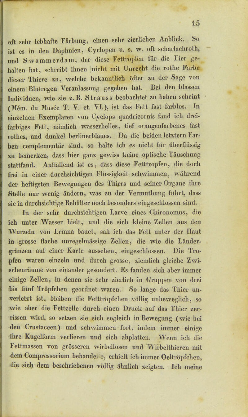 oft sehr lebhafte Färbung, einen sehr zierlichen Anblick. So ist es in den Daphnien, Cyclopen u. s. w. oft scharlachroth, und Swammerdam, der diese Fcitropfen für die Eier ge- halten hat, schreibt ihnen jnicht mit Unrecht die rothe Farbe dieser Thiere zu, welche bekanntlich öfter zu der Sage von einem Blutregen Veranlassung gegeben hat. Bei den blassen Individuen, wie sie z.B. Strauss beobachtet zu haben scheint (Mem. du Musee T. V. et. VI.), ist das Fett fast farblos. In einzelnen Exemplaren von Cyclops quadricornis fand ich drei- farbiges Fett, nämlich wasserhelles, tief orangenfarbenes fast rothes, und dunkel berlinerblaues. Da die beiden letztern Far- ben complementär sind, so halte ich es nicht für überflüssig zu bemerken, dass hier ganz gewiss keine optische Täuschung stattfand. Auffallend ist es, dass diese Fetttropfen, die doch frei in einer durchsichtigen Flüssigkeit schwimmen^ während der heftigsten Bewegungen des Thiprs und seiner Organe ihre Stelle nur wenig ändern, was zu der Vermuthung führt, dass sie in durchsichtige Behälter noch besonders eingeschlossen sind. In der sehr durchsichtigen Larve eiues ('hironomus, die ich unter Wasser hielt, und die sich kleine Zellen aus den Wurzeln von Lemna bauet, sah ich das Fett unter der Haut in grosse flache unregelmässige Zellen, die wie die Länder- gränzen auf einer Karte aussehen, eingeschlossen. Die Tro- pfen waren einzeln und durch grosse, ziemlich gleiche Zwi- schenräume von einander gesondert. Es fanden sich aber immer einige Zellen, in denen sie sehr zierlich in Gruppen von drei bis fünf Tröpfchen geordnet waren. So lange das Thier un- verletzt ist, bleiben die Fetttröpfchen völlig unbeweglich, so wie aber die Fettzelle durch einen Druck auf das Thier zer- rissen wird, so setzen sie sich sogleich in Bewegung (wie bei den Crustaceen) und schwimmen fort, indem immer einige ihre Kugelform verlieren und sich abplatten. Wenn ich die Fettmassen von grösseren wirbellosen und V\ Irbeltliieren mit dem Compressorium behandei 3, erhielt ich immer Oeltröpfchen, die sich dem beschriebenen völlig ähnlich zeigten. Ich meine