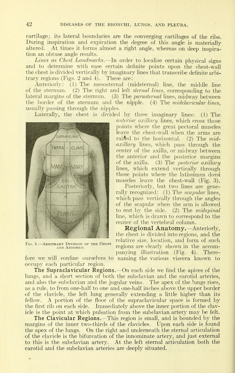 cartilage; its lateral boundaries are the converging cartilages of the ribs. During inspiration and expiration the degree of this angle is materially altered. At times it forms almost a right angle, whereas on deep inspira- tion an obtuse angle results. Lines as Chest Landmarks.—In order to localize certain physical signs and to determine with ease certain definite points upon the chest-wall the chest is divided vertically by imaginary lines that transcribe definite arbi- trary regions (Figs. 2 and 4). These are: Anteriorly: (1) The mesosternal (midsternal) line, the middle line of the sternum. (2) The right and left sternal lines, corresponding to the lateral margins of the sternum. (3) The parasternal lines, midway between the border of the sternum and the nipple. (4) The midclavicular lines, usually passing through the nipples. Laterally, the chest is divided by three imaginary lines: (1) The antirior axillary lines, which cross those points where the great pectoral muscles leave the chest-wall when the arms are railed to the horizontal. (2) The mid- axillary lines, which pass through the center of the axilla, or midway between the anterior and the posterior margins of the axilla. (3) The posterior axillary lines, which extend vertically through those points where the latissimus dorsi muscles leave the chest-wall (Fig. 3). Posteriorly, but two lines are gene- rally recognized: (1) The scapular lines, which pass vertically through the angles of the scapulse when the arm is allowed 1^ j^yjwit '-mx' > ^^^^ ^i(\e.- (2) The 7nidspinal ■ ^\JmmSs^^^^'^, \ line, which is drawn to correspond to the i iB^^BPn i center of the vertebral column. 1 i ^^^mr ' ■ f/' Regional Anatomy.—Anteriorly, ■i^l - ^ I ^'^■'^ chest is divided into regions, and the relative size, location, and form of such regions are clearly shown in the accom- panying illustration (Fig. 4). There- naming the various viscera known to Fig. 4. -Arbitrary Division or the Chlst AND Abdomen. fore we will confine ourselves to occupy each particular region. The Supraclavicular Regions.—On each side we find the apices of the lungs, and a short section of l^oth the subclavian and the carotid arteries, and also the sul)clavian and the jugular veins. The apex of the lungs rises, as a rule, to from one-half to one and one-half inches above the upper border of the clavicle, the left lung generally extending a little higher than its fellow. A portion of the floor of the supraclavicular space is formed by the first rib on each side. Immediately above the inner portion of the clav- icle is the point at which pulsation from the subclavian artery may be felt. The Clavicular Regions.—This region is small, and is bounded by the margins of the inner two-thirds of the clavicles. Upon each side is found the apex of the lungs. On the right and underneath the sternal articulation of the clavicle is the bifurcation of the innominate artery, and just external to this is the subclavian artery. At the left sternal articulation both the carotid and the subclavian arteries are deeply situated.