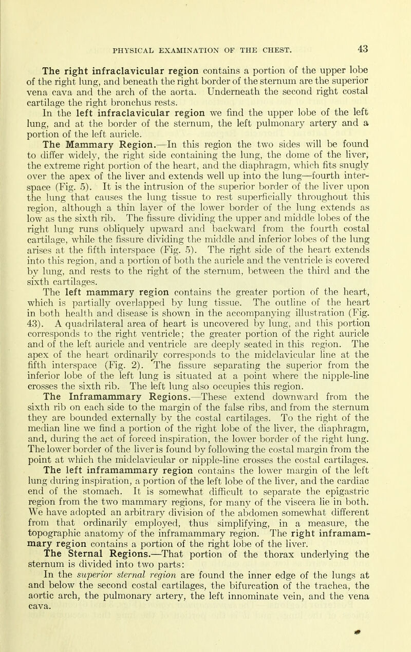 The right infraclavicular region contains a portion of the upper lobe of the right lung, and beneath the right border of the sternum are the superior vena cava and the arch of the aorta. Underneath the second right costal cartilage the right bronchus rests. In the left infraclavicular region we find the upper lobe of the left lung, and at the border of the sternum, the left pulmonary artery and a portion of the left auricle. The Mammary Region.—In this region the two sides will be found to differ widely, the right side containing the lung, the dome of the liver, the extreme right portion of the heart, and the diaphragm, which fits snugly over the apex of the liver and extends well up into the lung—fourth inter- space (Fig. 5). It is the intrusion of the superior border of the liver upon the lung that causes the lung tissue to rest superficially throughout this region, although a thin layer of the lower border of the lung extends as low as the sixth rib. The fissure dividing the upper and middle lobes of the right lung runs obliquely upward and backward from the fourth costal cartilage, while the fissure dividing the middle and inferior lobes of the lung arises at the fifth interspace (Fig. .5). The right side of the heart extends into this region, and a portion of both the auricle and the ventricle is covered by lung, and rests to the right of the sternum, between the third and the sixth cartilages. The left mammary region contains the greater portion of the heart, which is partially overlapped by lung tissue. The outline of the heart in both health and disease is shown in the accompanying illustration (Fig. 43). A quadrilateral area of heart is uncovered by lung, and this portion corresponds to the right ventricle; the greater portion of the right auricle and of the left auricle and ventricle are deeply seated in this region. The apex of the heart ordinarily corresponds to the midclavicular line at the fifth interspace (Fig. 2). The fissure separating the superior from the inferior lobe of the left lung is situated at a point where the nipple-line crosses the sixth rib. The left lung also occupies this region. The Inframammary Regions.—These extend downward from the sixth rib on each side to the margin of the false ribs, and from the sternum they are bounded externally by the costal cartilages. To the right of the median line we find a portion of the right lobe of the liver, the diaphragm, and, during the act of forced inspiration, the lower border of the right lung. The lower border of the liver is found by following the costal margin from the point at wliich the midclavicular or nipple-line crosses the costal cartilages. The left inframammary region contains the lower margin of the left lung during inspiration, a portion of the left lobe of the liver, and the cardiac end of the stomach. It is somewhat difficult to separate the epigastric region from the two mammary regions, for many of the viscera lie in both. We have adopted an arbitrary division of the abdomen somewhat different from that ordinarily employed, thus simplifying, in a measure, the topographic anatomy of the inframammary region. The right inframam- mary region contains a portion of the right lobe of the liver. The Sternal Regions.—That portion of the thorax underlying the sternum is divided into two parts: In the superior sternal region are found the inner edge of the lungs at and below the second costal cartilages, the bifurcation of the trachea, the aortic arch, the pulmonary artery, the left innominate vein, and the vena cava.