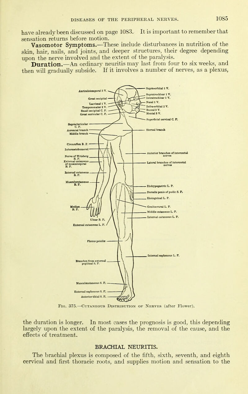 have already been discussed on page 1083. It is important to remember that sensation returns before motion. Vasomotor Symptoms.—These include disturbances in nutrition of the skin, hair, nails, and joints, and deeper structures, their degree depending upon the nerve involved and the extent of the paralysis. Duration.—An ordinary neuritis may last from four to six weeks, and then wiU gradually subside. If it involves a number of nerves, as a plexus, the duration is longer. In most cases the prognosis is good, this depending largely upon the extent of the paralysis, the removal of the cause, and the effects of treatment. BRACHIAL NEURinS. The brachial plexus is composed of the fifth, sixth, seventh, and eighth cervical and first thoracic roots, and supplies motion and sensation to the