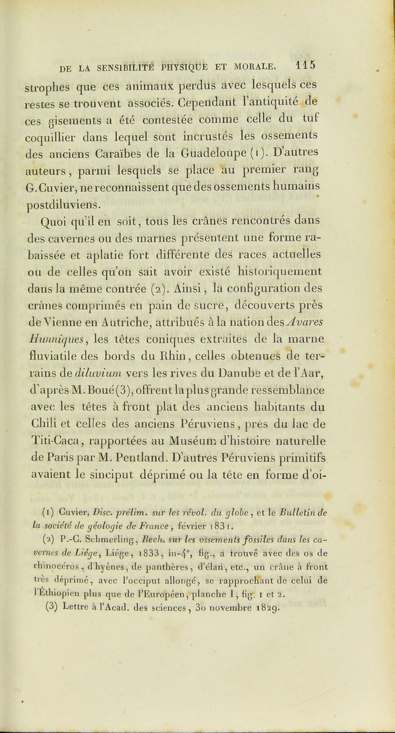 Strophes que ces animaux perdus avec lesquels ces restes se trouvent associés. Cependant lantiquité de ces gisements a été contestée comme celle du tuf coquillier dans lequel sont incrustés les ossements des anciens Caraïbes de la Guadeloupe (i). D'autres auteurs, parmi lesquels se place au premier rang G.Cuvier, ne reconnaissent que des ossements humains postdiluviens. Quoi quil en soit, tous les crânes rencontrés dans des cavernes ou des marnes présentent une forme ra- baissée et aplatie fort différente des races actuelles ou de celles qu'on sait avoir existé historiquement dans la même contrée (2). Ainsi, la configuration des crânes comprimés en pain de sucre, découverts près devienne en Autriche, attribués à la nation des Avares Hwmiques, les têtes coniques extraites de la marne fluviatile des bords du Rhin, celles obtenues de ter- rains de diluvium vers les rives du Danube et de l'Aar, d'après M. Boué (3), offrent la plus grande ressemblance avec les têtes à front plat des anciens habitants du Chili et celles des anciens Péruviens, prés du lac de Titi-Caca, rapportées au Muséum d'histoire naturelle de Paris par M. Pentland. D'autres Péruviens primitifs avaient le sinciput déprimé ou la tête en forme d'oi- (1) Cuvier, Disc, prélim. sur tes révol. du globe, et le Bulletin de la société de géologie de France, février i83 r. (2) P.-C. Scbmerling, Rech. sur les ossements fôssiles dans les ca- vernes de Liège, Liég-e, i833, iii-4°> f'S-i ^ trouvé avec des os de rhinocéros, d hyènes, de panthères, d'élan, etc., un crâne à front très déprime, avec l'occiput allongé, se rapprochant de celui de l'Ethiopien plus que de l'Européen, planche I, fig. i et 2. (3) Lettre à l'Acad. des sciences, 3o novembre 182g.