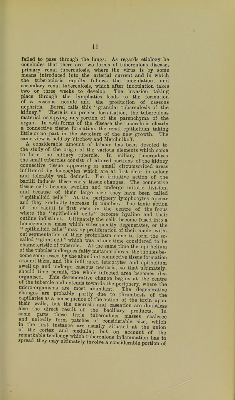 failed to pass through the lungs. As regards etiology he concludes that there are two forms of tuberculous disease, primary renal tuberculosis, where the virus is by some means introduced into the arterial current and in which the tuberculosis rapidly follows the inoculation, and secondary renal tuberculosis, which after inoculation takes two or three weeks to develop. The invasion taking place through the lymphatics leads to the formation of a caseous nodule and the production of caseous nephritis. Borrel calls this granular tuberculosis of the kidney. There is no precise localisation, the tuberculous material occupying any portion of the parenchyma of the organ. Iri both forms of the disease the tubercle is clearly a connective tissue formation, the renal epithelium taking little or no part in the structure of the new growth. The same view is held by Virchow and Metchnikoff. A considerable amount of labour has been devoted to the study of the origin of the various elements which come to form the miliary tubercle. In miliary tuberculosis the small tubercles consist of altered portions of the kidney connective tissue appearing in small circumscribed areas infiltrated by leucocytes which are at lirst clear in colour and tolerably well defined. The irritative action of the bacilli induces these early tissue changes. The connective tissue cells become swollen and undergo mitotic division, and because of their large size they have been called epithelioid cells. At the periphery lymphocytes appear and they gradually increase in number. The toxic action of the bacilli is first seen in the centre of the focus where the epithelioid cells become hyaline and their outline indistinct. Ultimately the cells become fused into a homogeneous mass which subsequently degenerates, or the epithelioid cells  may by proliferation of their nuclei with- out segmentation of their protoplasm come to form the so- called giant cell  which was at one time considered to be characteristic of tubercle. At the same time the epithelium of the tubules undergoes fatty metamorphosis, the tubules be- come compressed by the abundant connective tissue formation around them, and the infiltrated leucocytes and epithelium swell up and undergo caseous necrosis, so that ultimately, should time permit, the whole infected area becomes dis- organised. This degenerative change begins at the centre of the tubercle and extends towards the periphery, where the micro-organisms are most abundant. The degenerative changes are probably partly due to thrombosis of the capillaries as a consequence oE the action of the toxin upon their walls, but the necrosis and caseation are doubtless also the direct result of the bacillary products In some parts these little tuberculous masses coalesce and unitedly form patches of considerable size, which m the first instance are usually situated at the union °f t u?'.^. ^^ medulla; but on account of the remarkable tendency which tuberculous inflammation has to spread they may ultimately invoWe a considerable portion of
