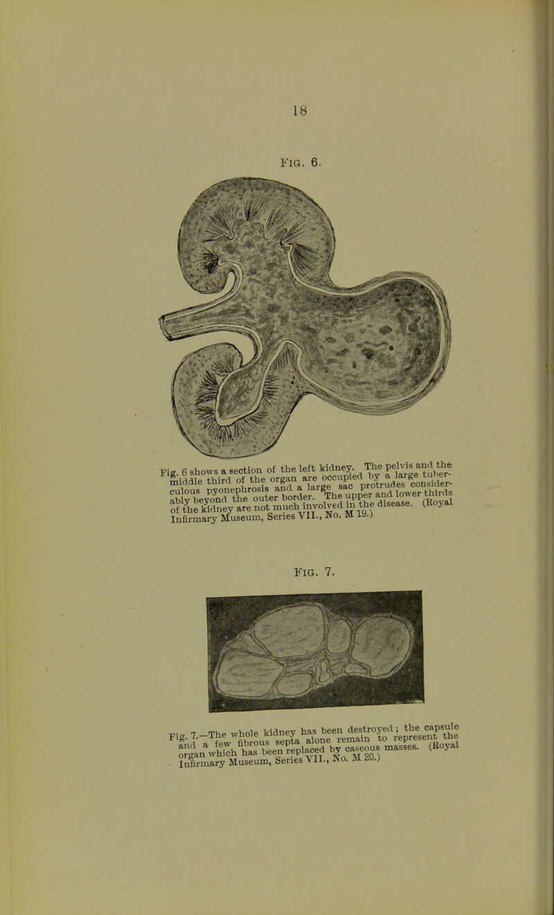 Fig. 6. Fig. 7.